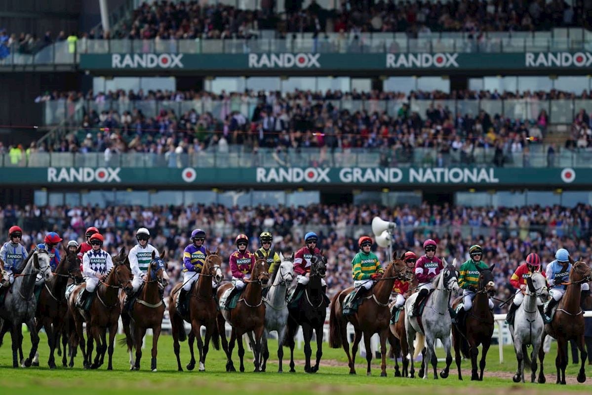 Image for The Grand National