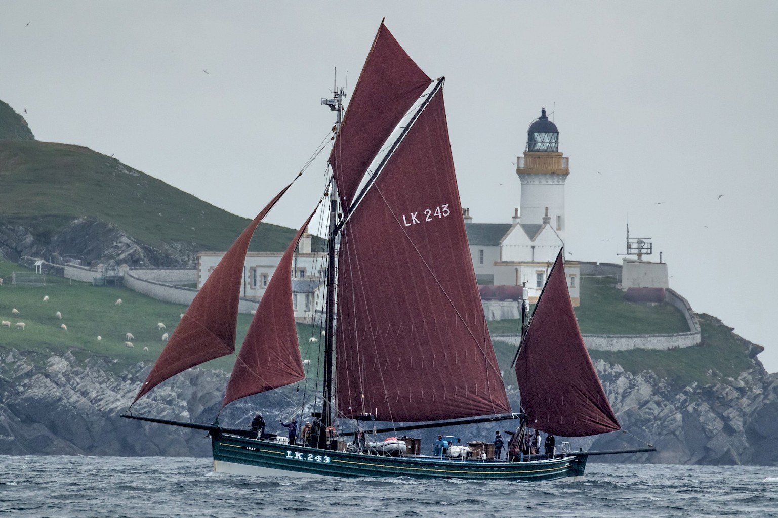 Image for Aberdeen Tall Ships Races