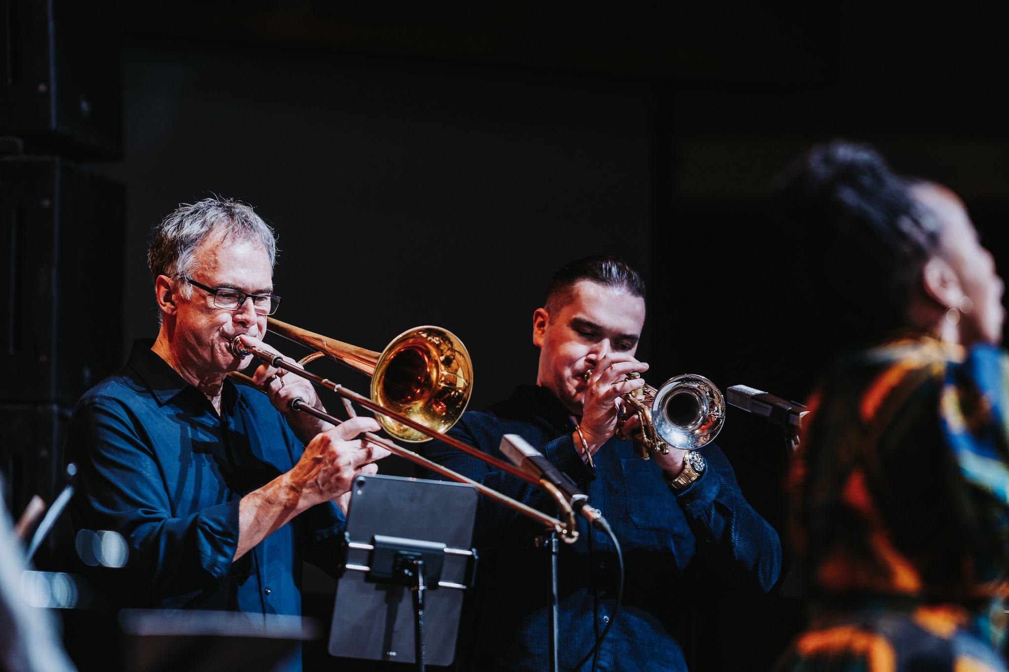 Image for Ottawa Jazz Festival