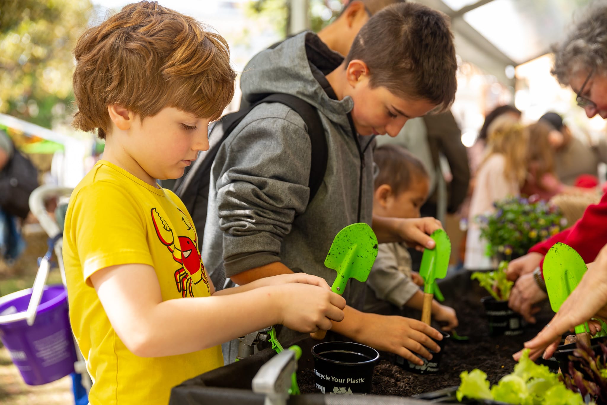 Image for Melbourne International Flower and Garden Show