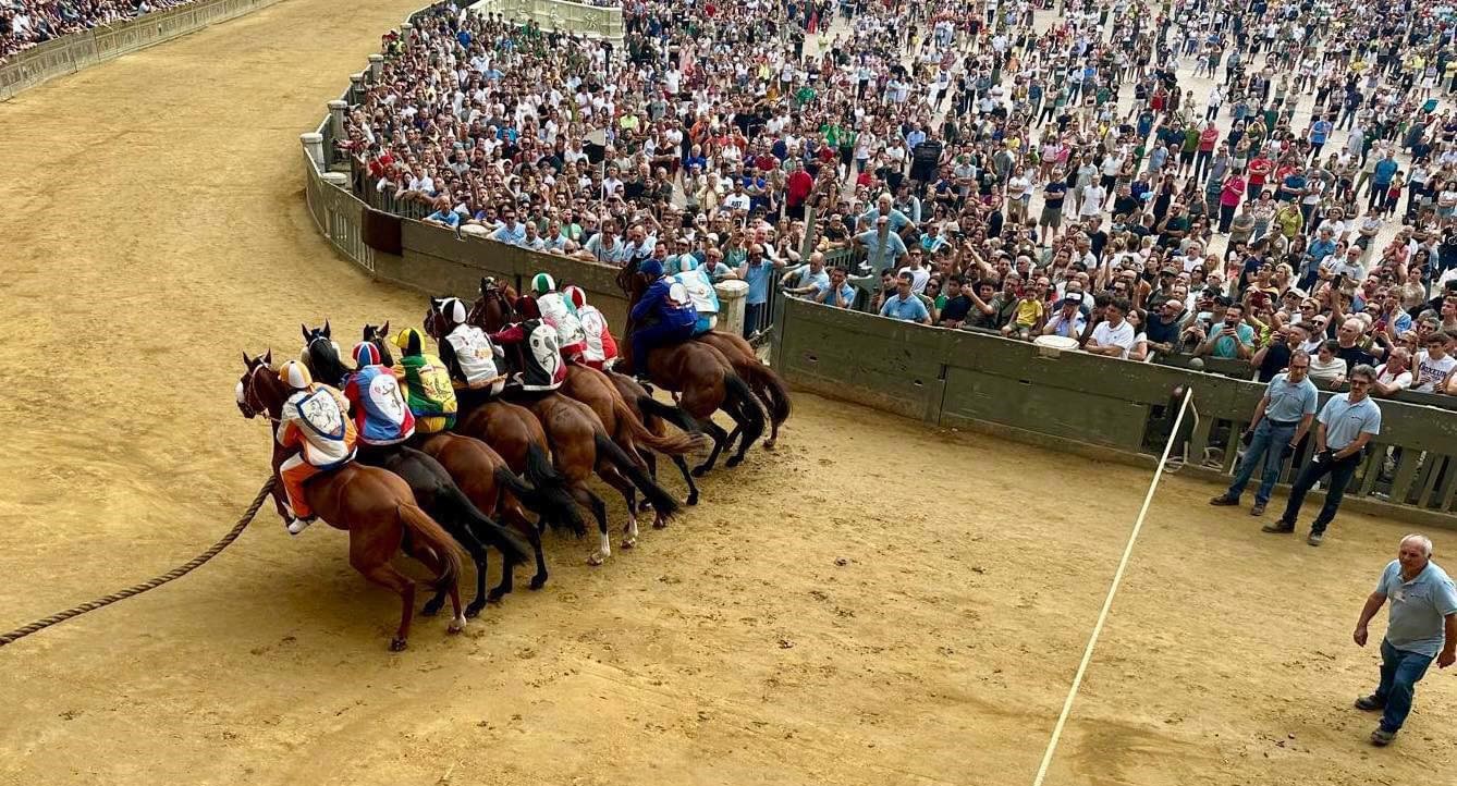 Image for Palio di Siena (August)