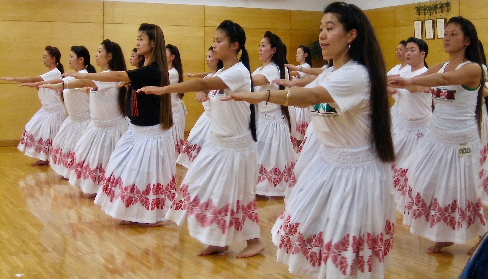 Image for Tokyo Hula Festival