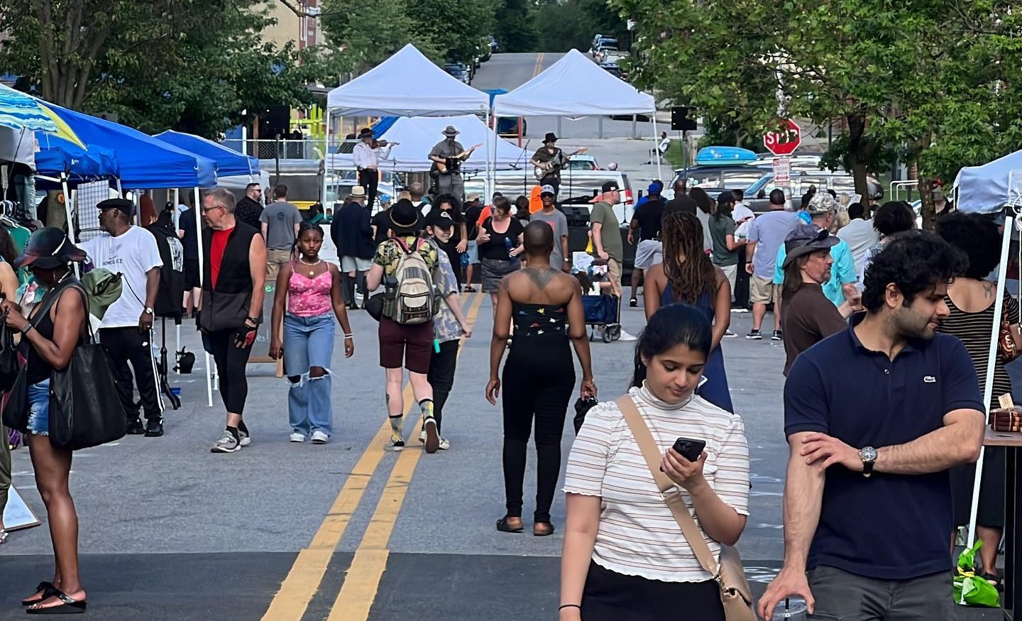 Image for Sowebo Arts and Music Festival
