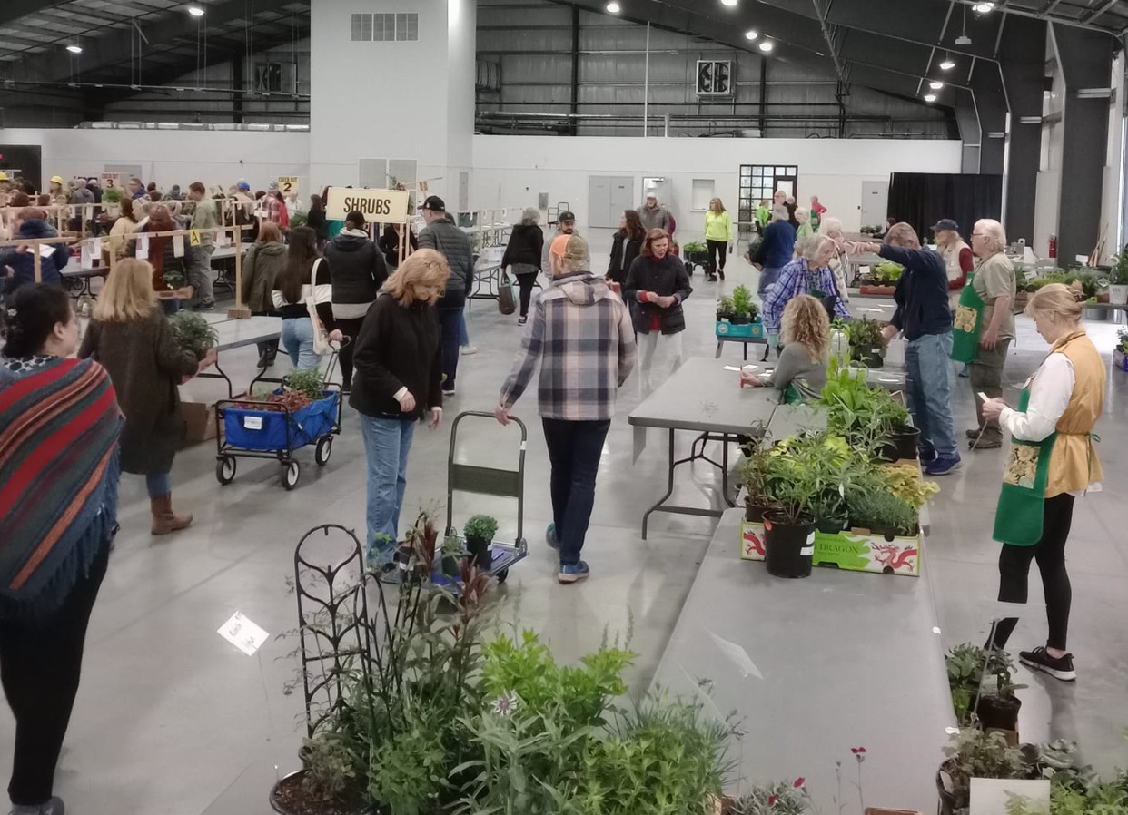 Image for Perennial Plant Sale