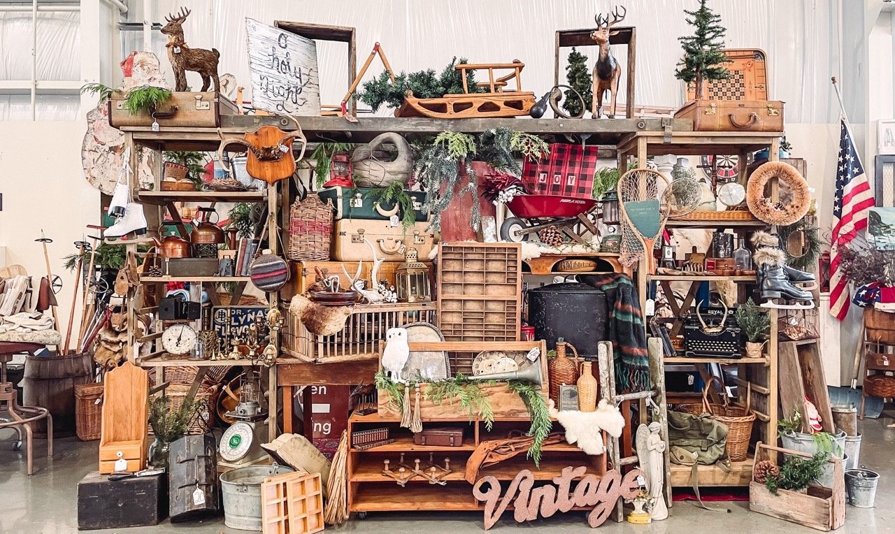 Image for The Great Junk Hunt