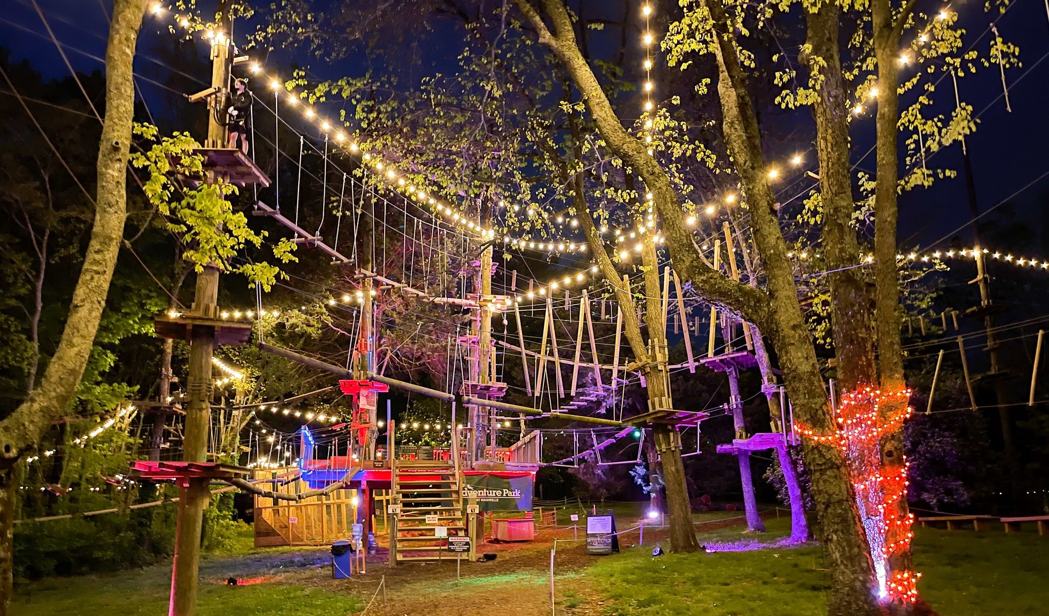 Image for Glow in the Park