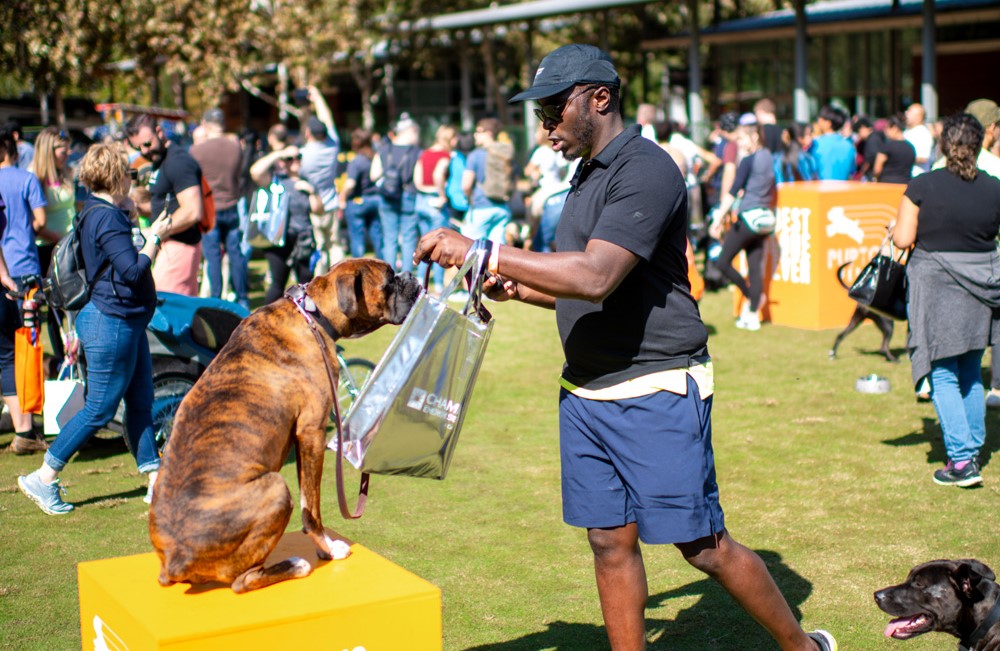 Image for Bark and Bond Festival