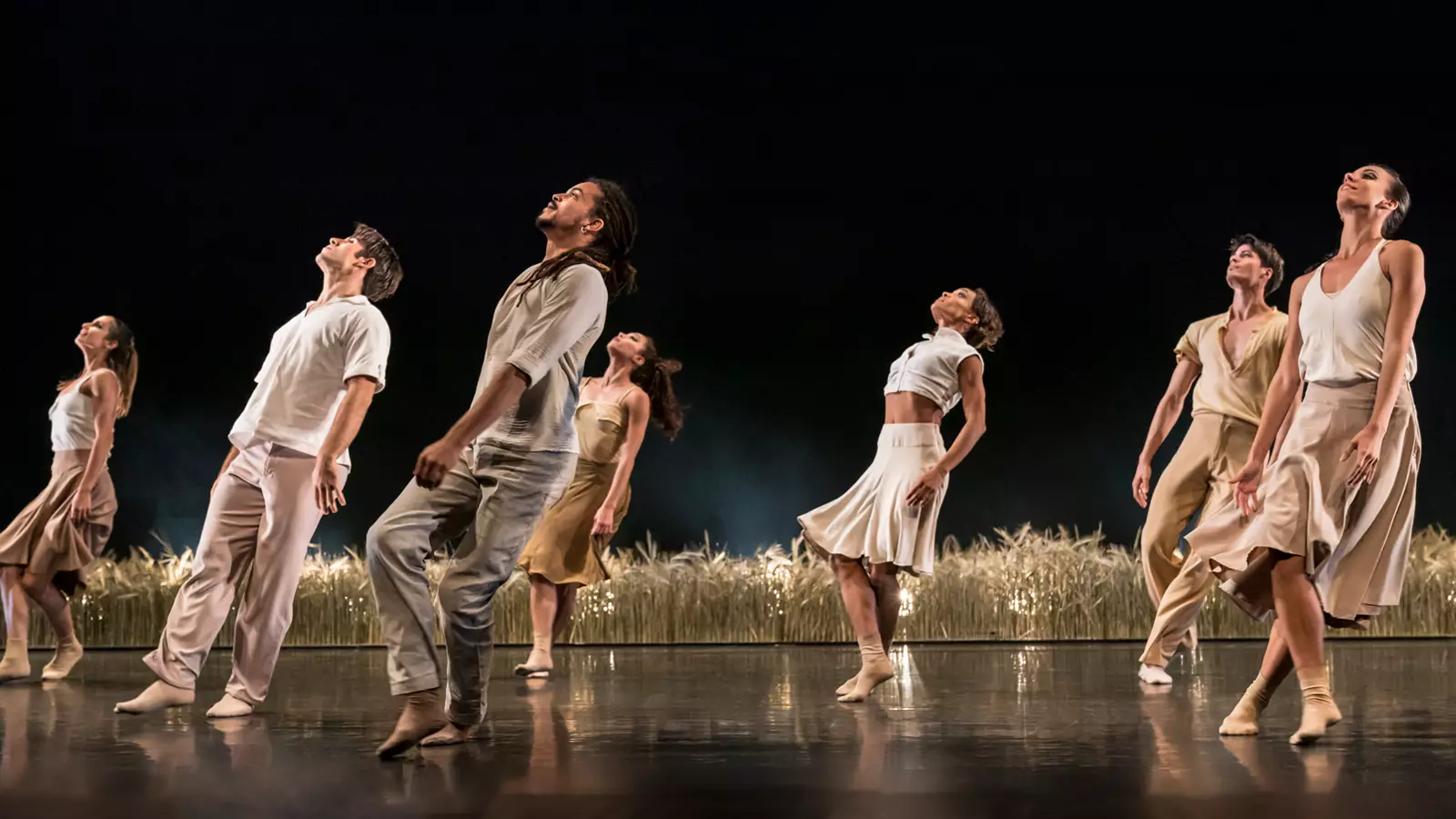 Image for Acosta Danza: Cuban Ecléctico