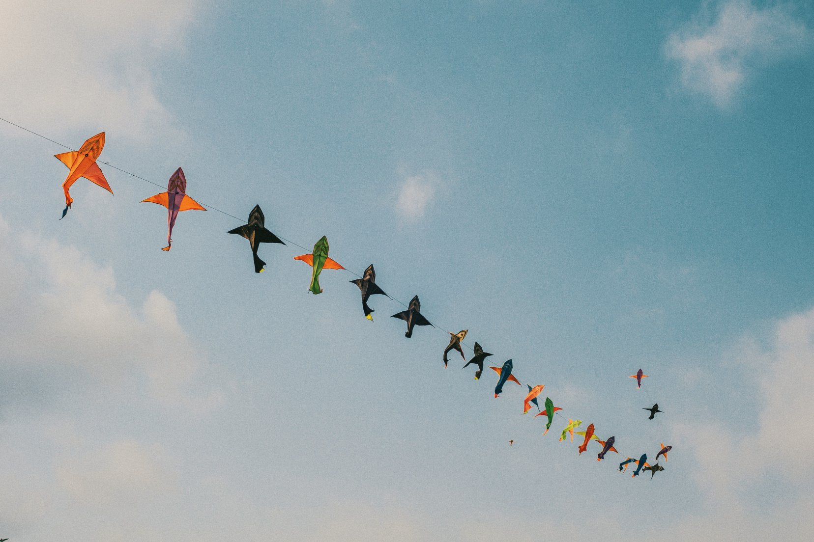 Image for Kites in the Heights