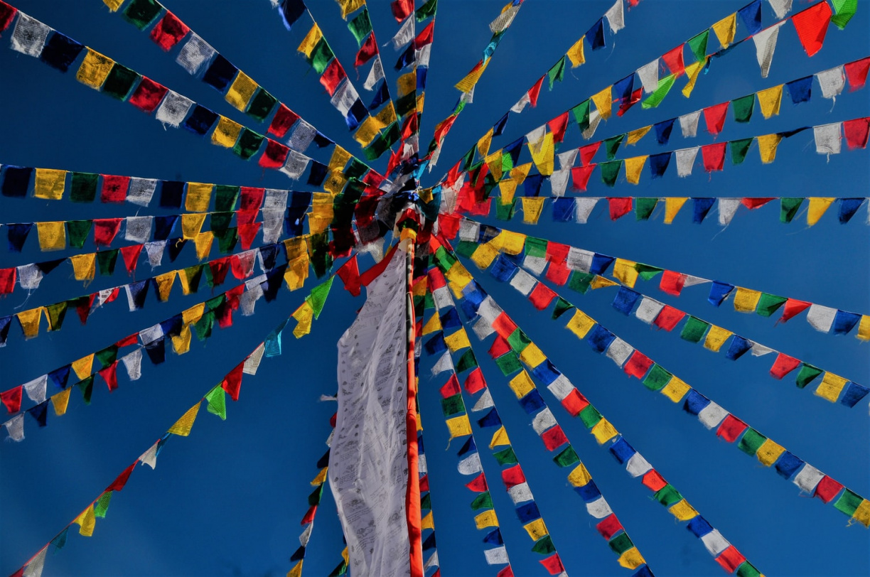 Image for International Festival