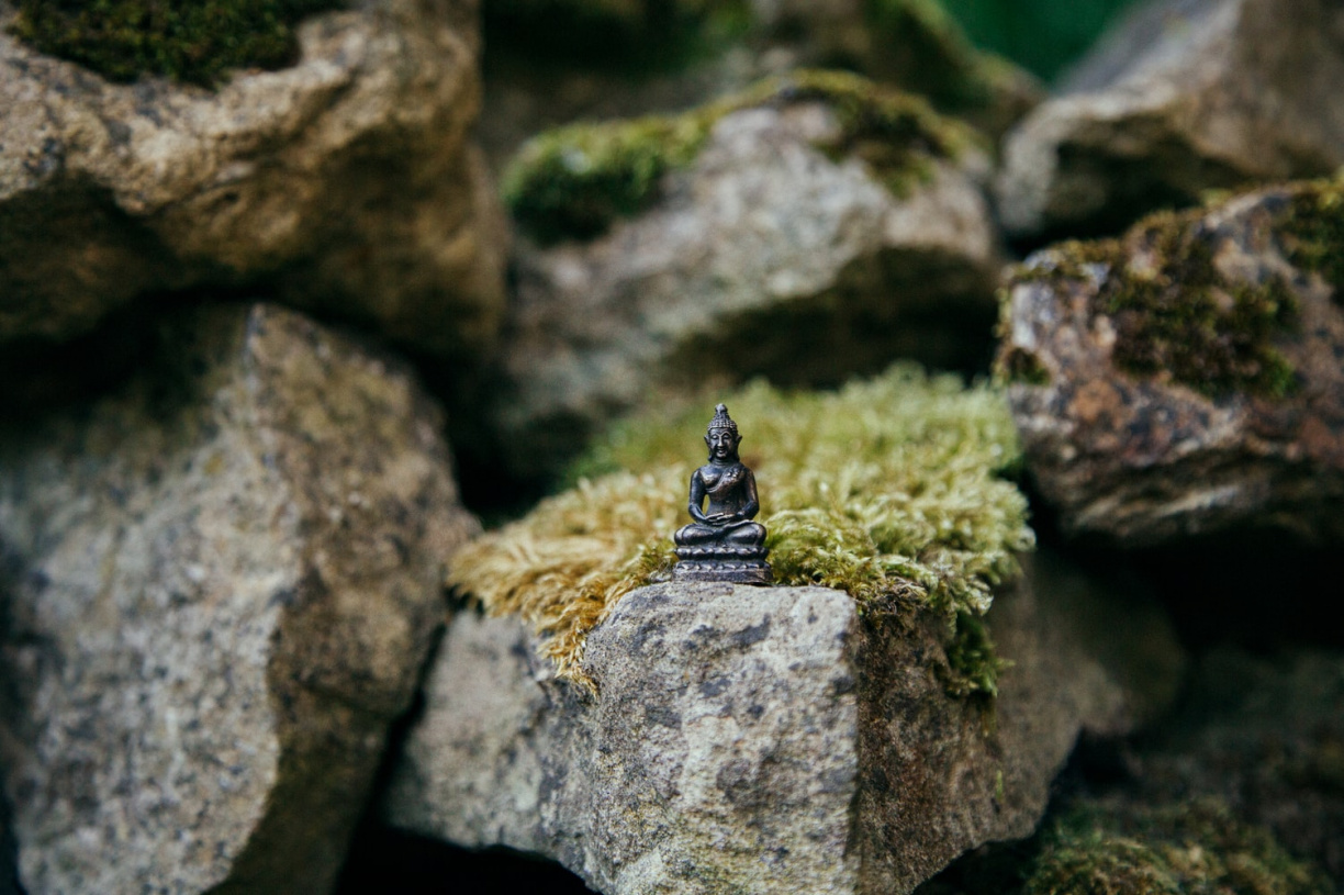 Image for Guided Meditation and Dinner