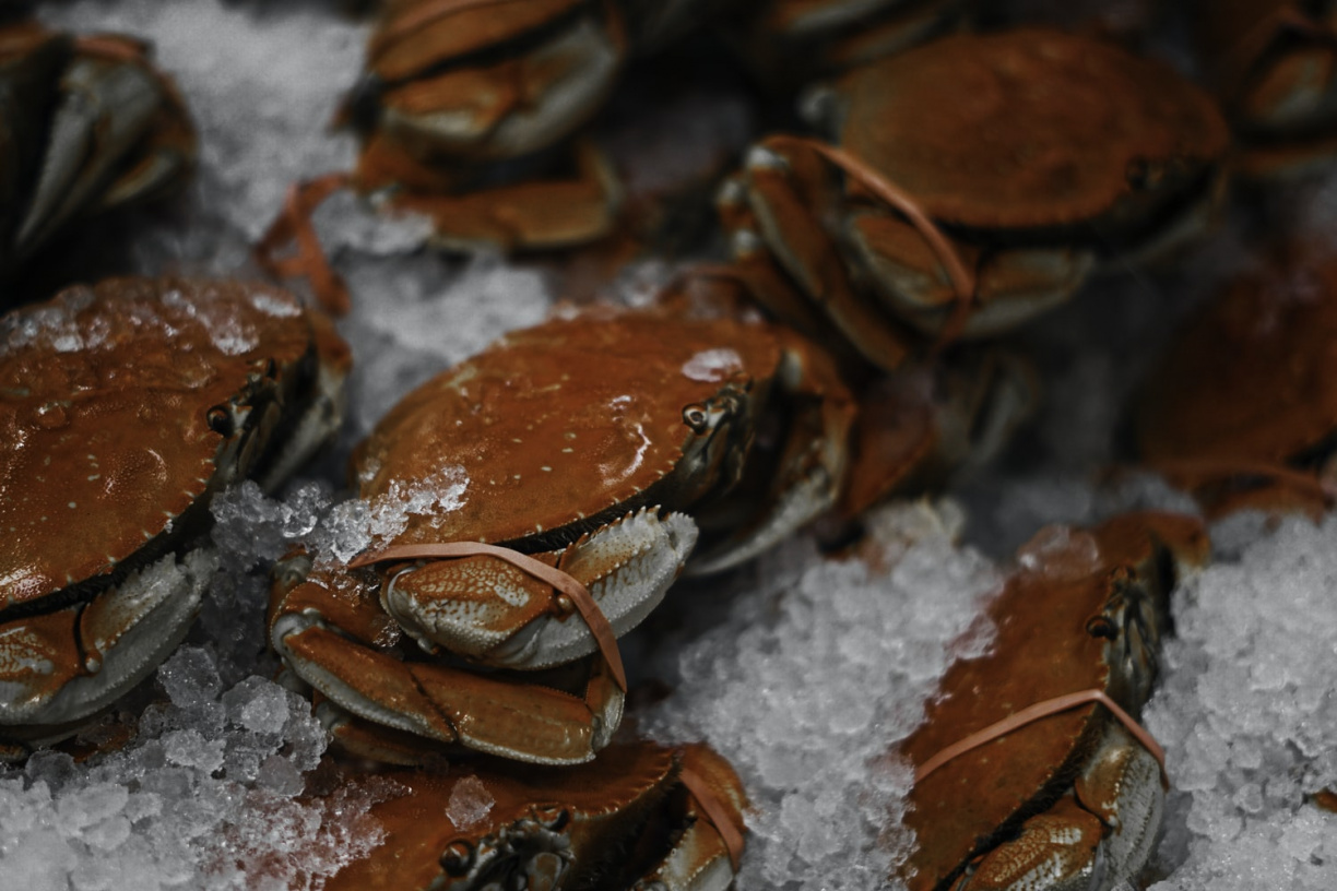 Image for Crab Fest