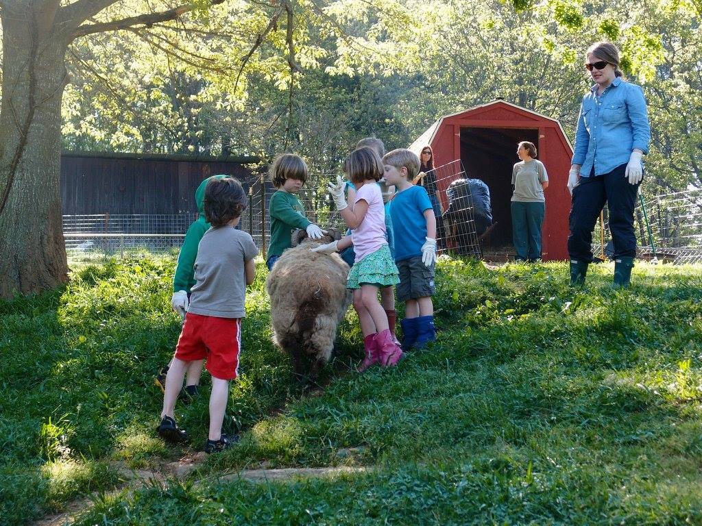Image for Animal Haven of Asheville’s 25th Anniversary