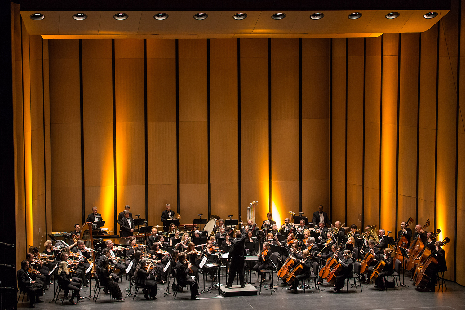 Image for The Terminator In Concert