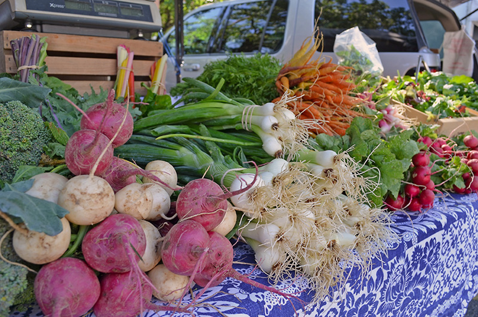 Image for Chicago Farmers Market