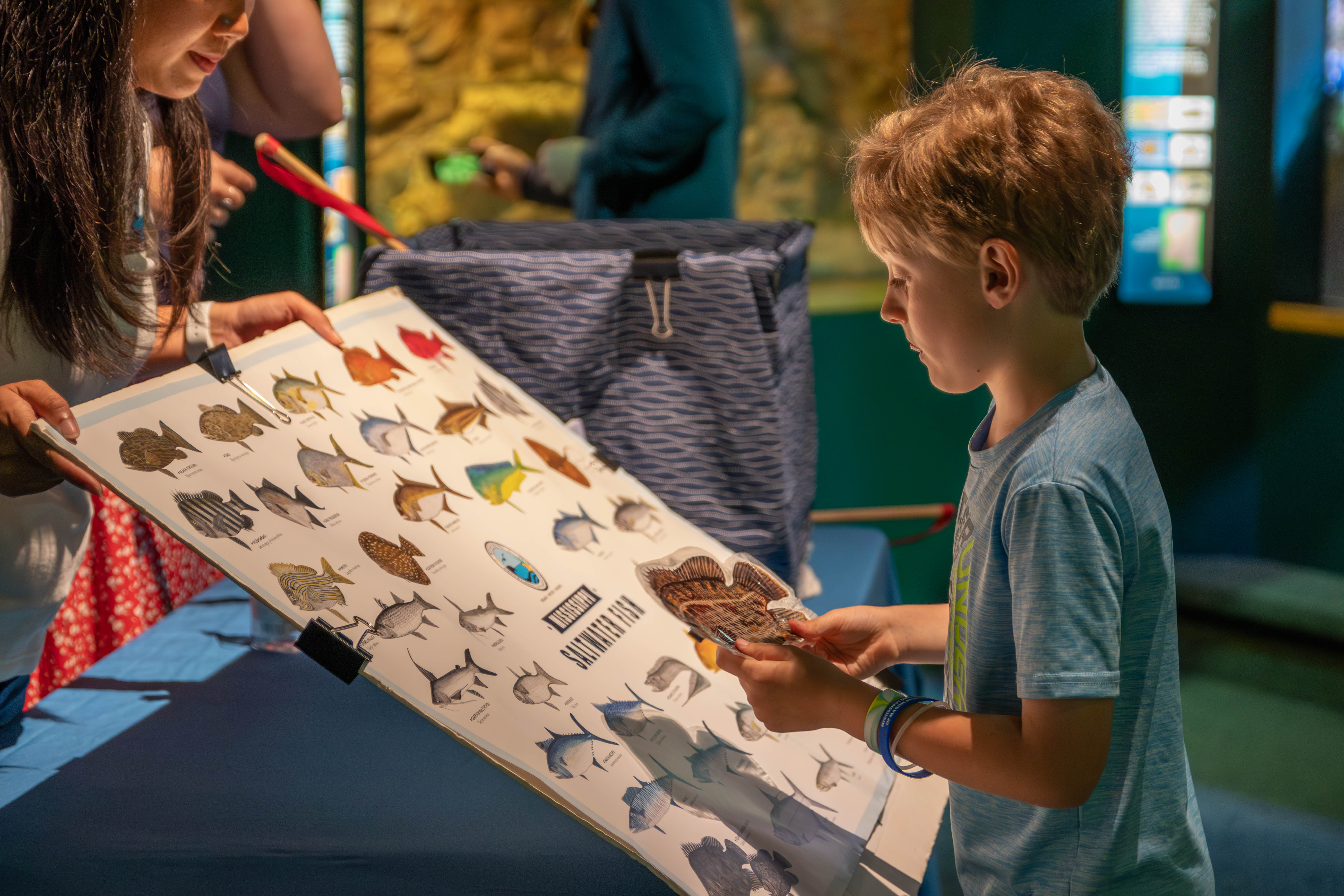 Image for Marine Discovery Day