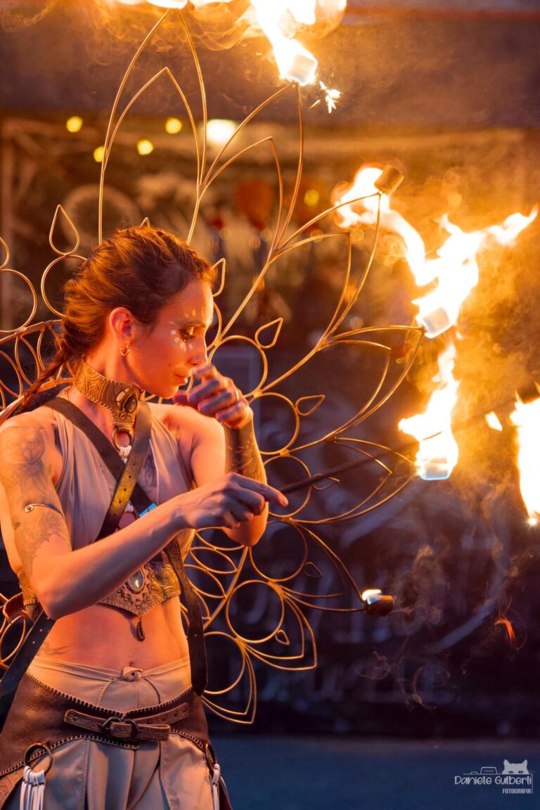Image for La festa della fate (Fairy Festival)