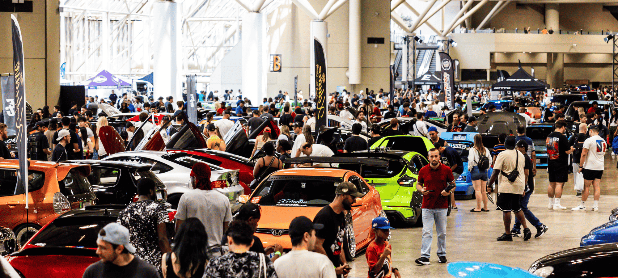 Image for ImportFest