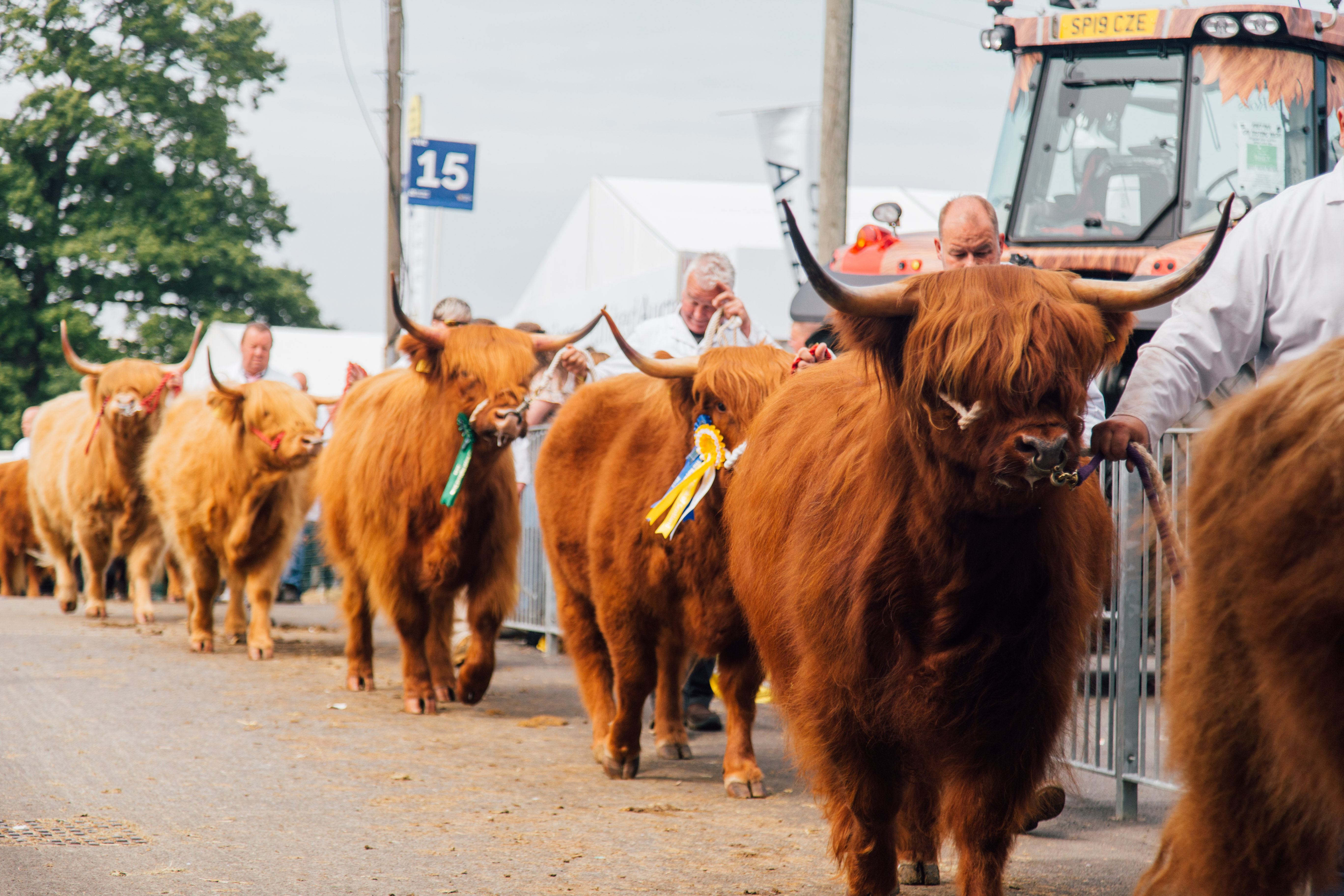 Image for Royal Highland Show