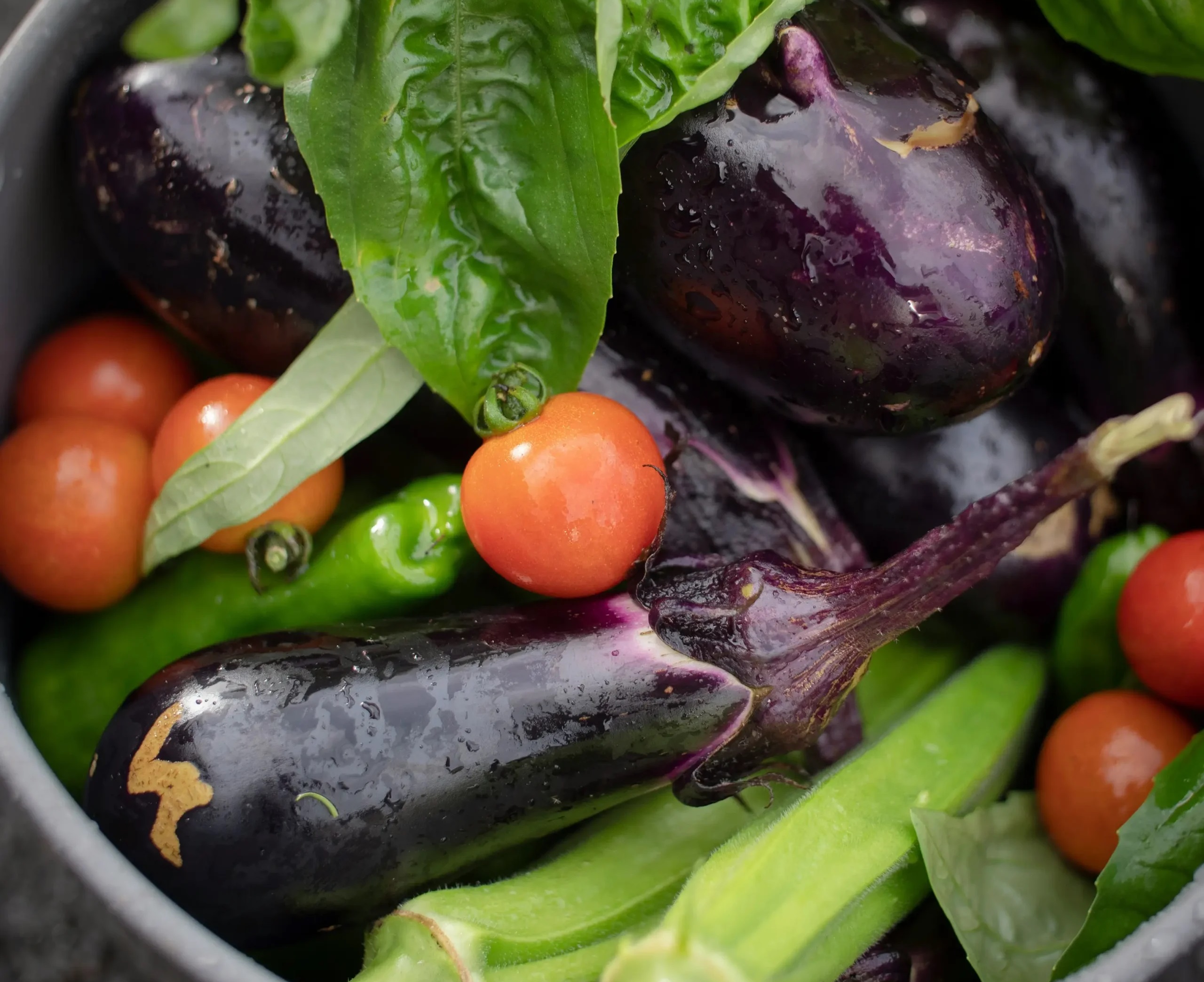 Image for Harvesting Summer Vegetables (And Recipe Swap)