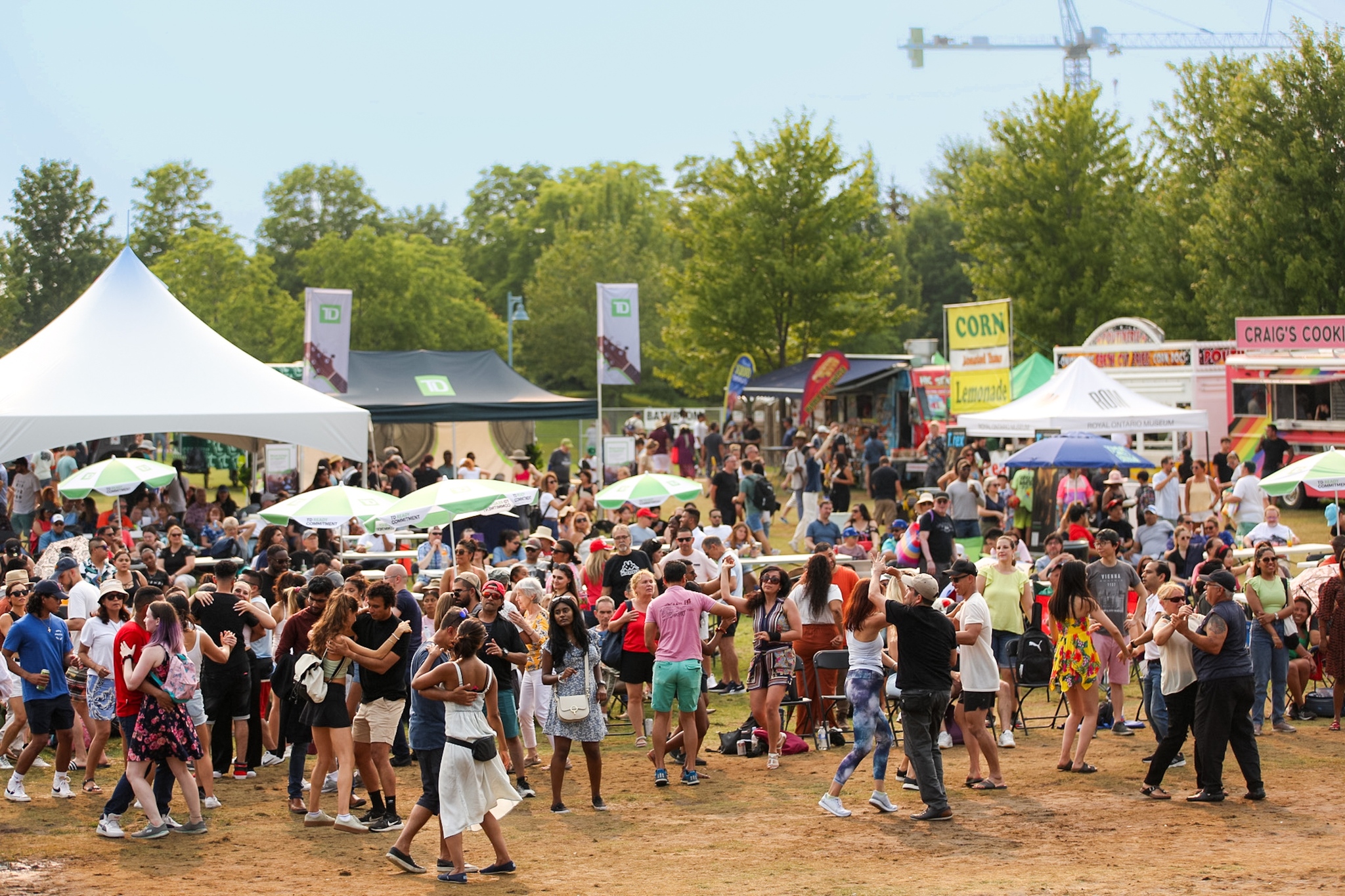 Image for Salsa on the Beach