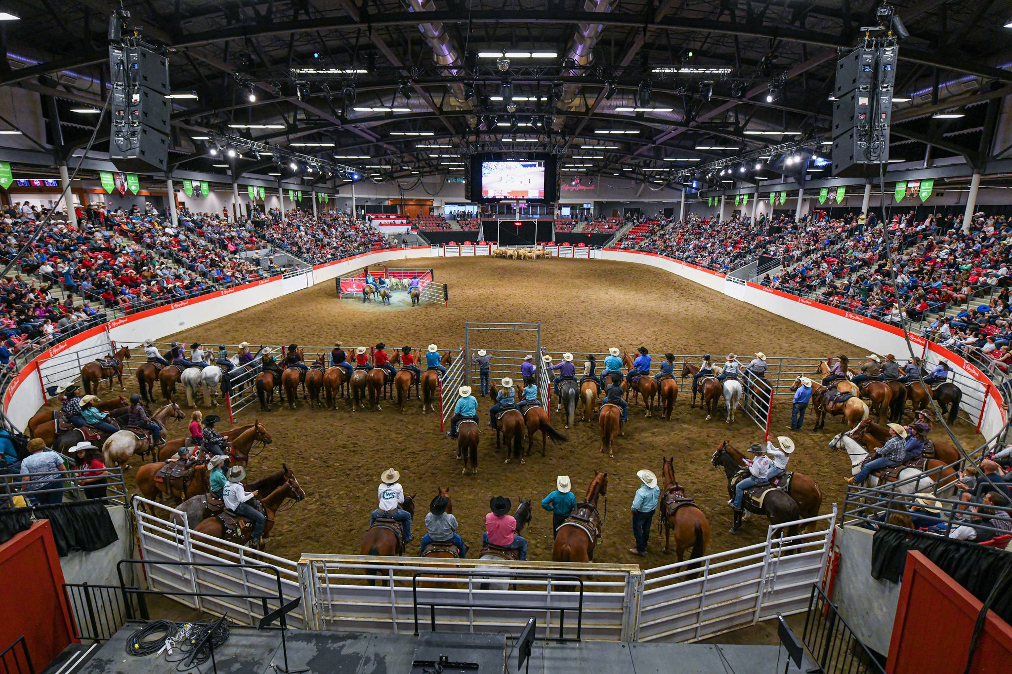Image for Calgary Stampede