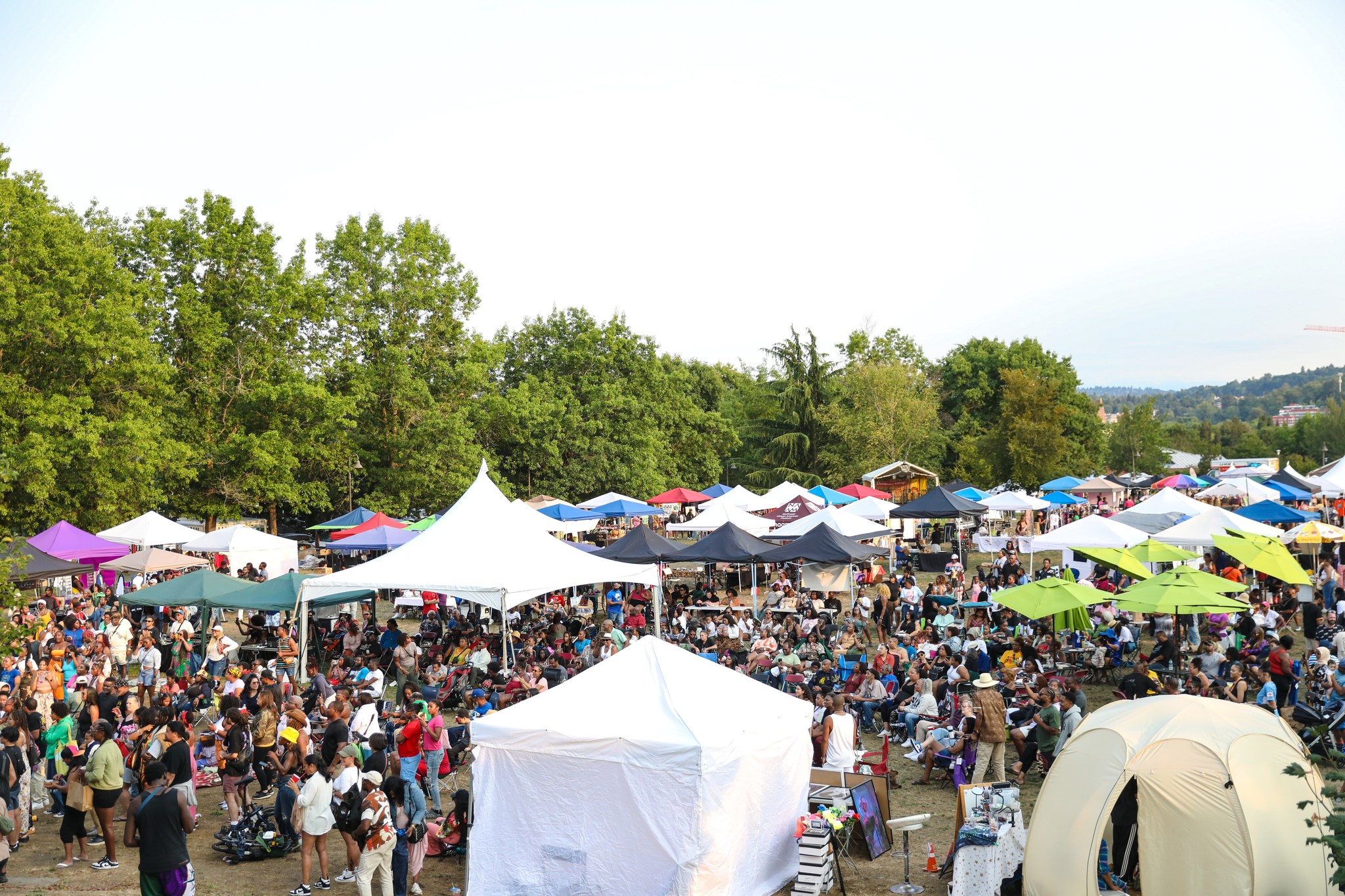 Image for Umoja Fest