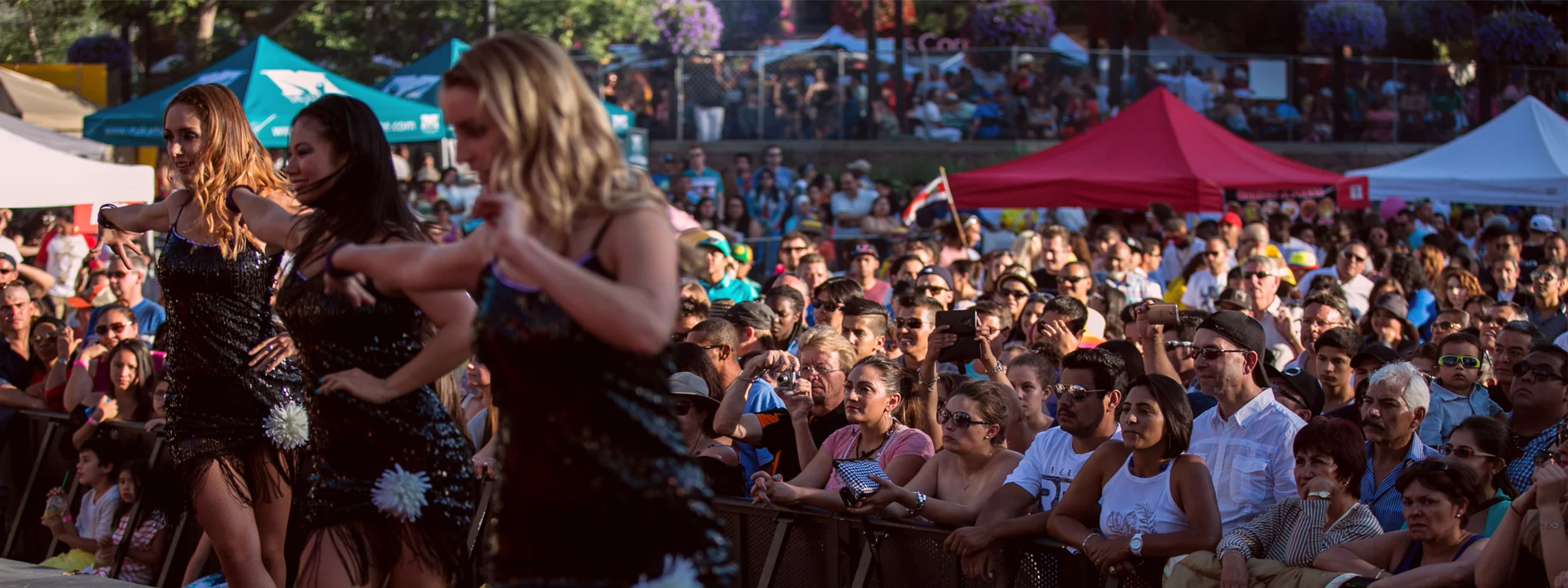 Image for Fiestaval Latino Festival
