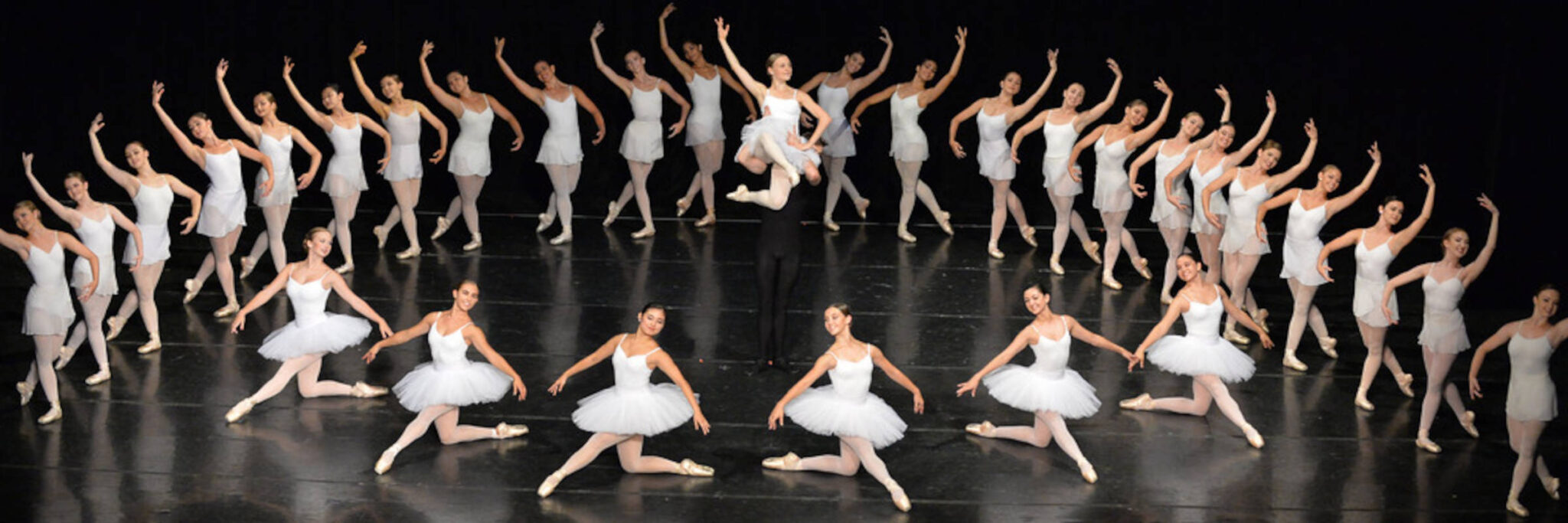 Image for Ballet Under the Stars