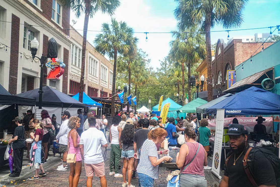 Image for International Vegan Food Festival
