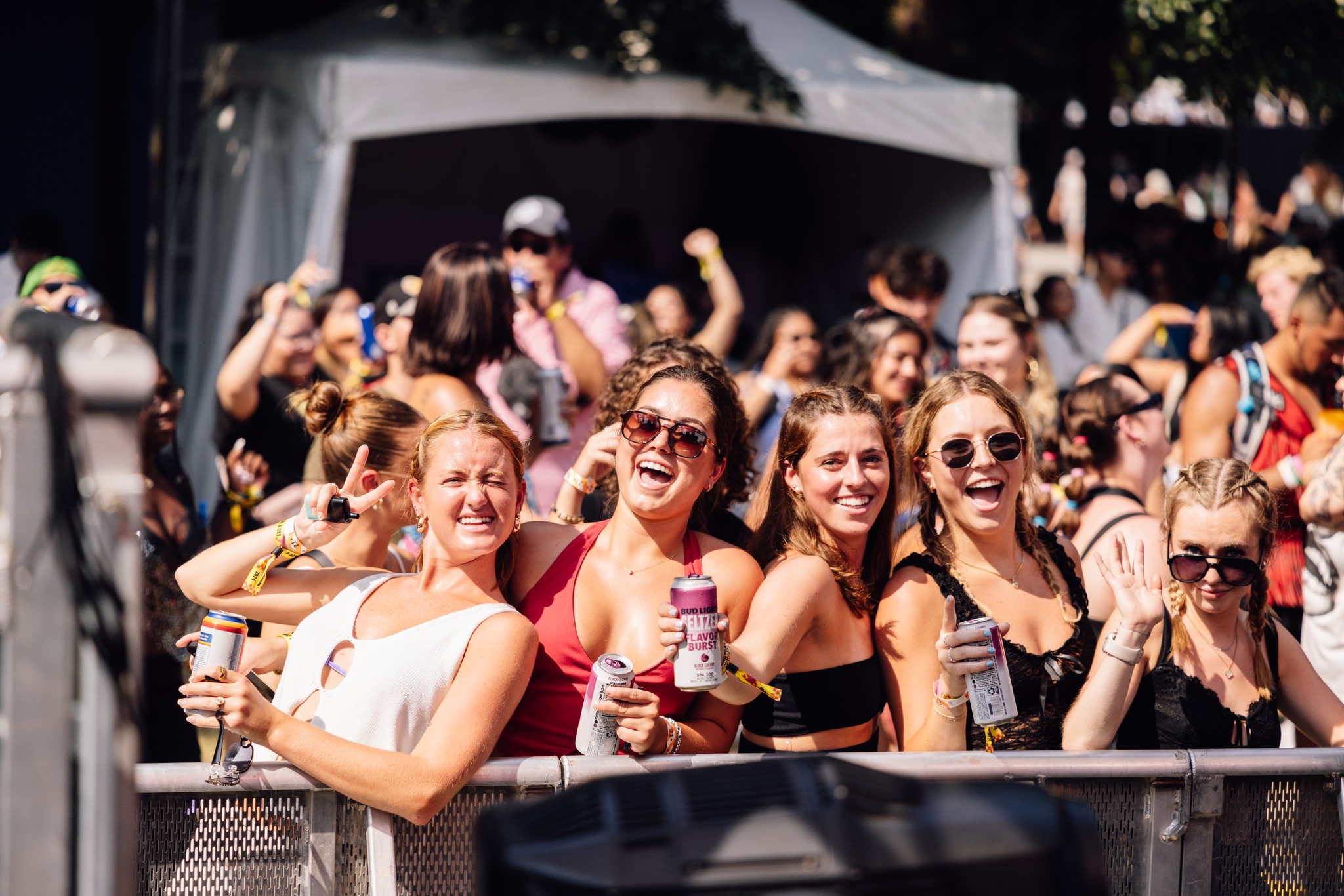 Image for Lollapalooza