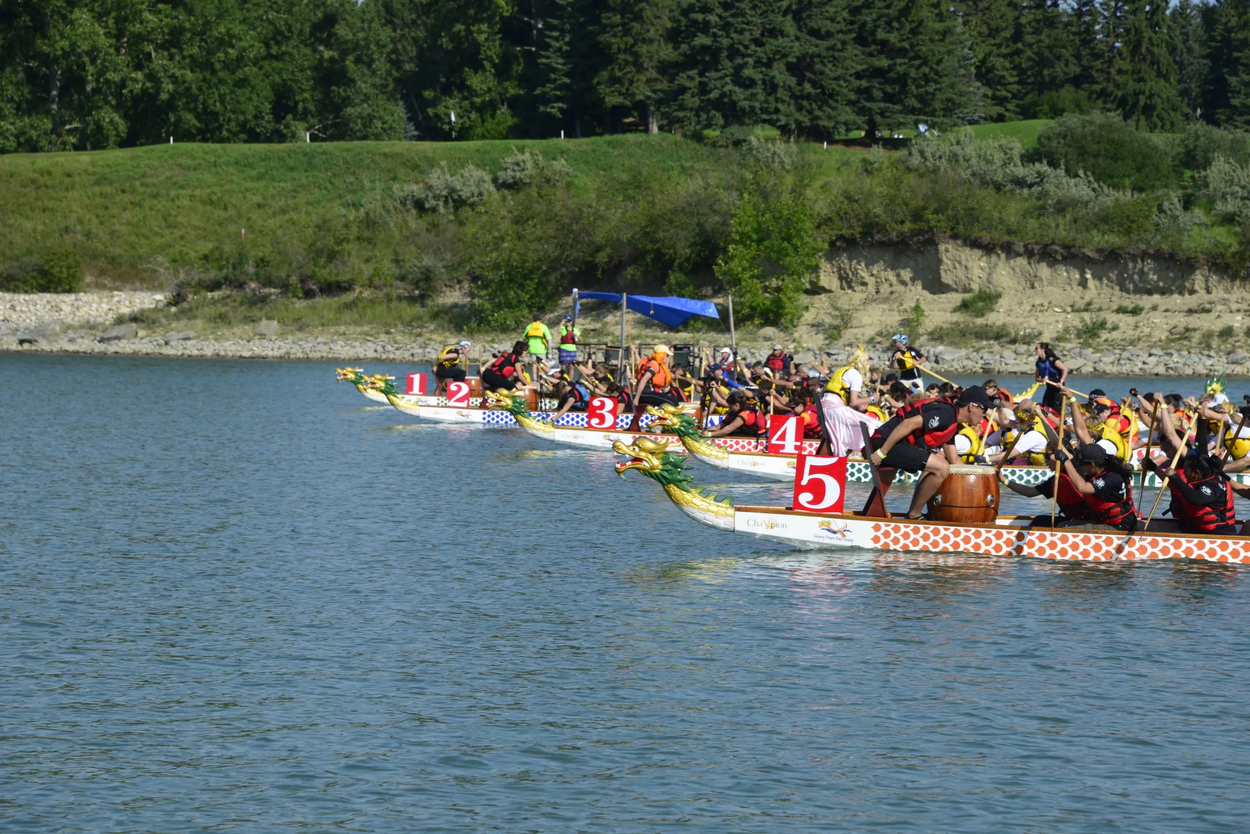 Image for Calgary Dragon Boat Race and Festival