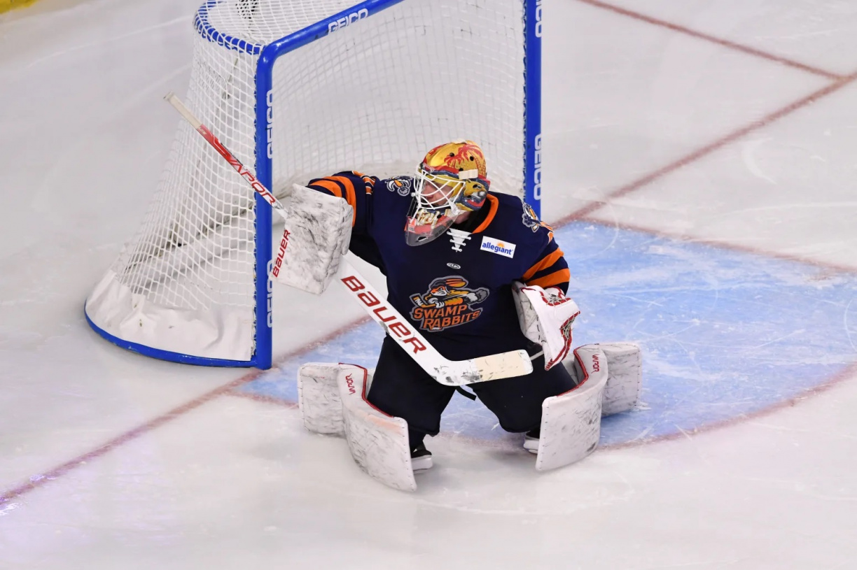 Image for Orlando Solar Bears vs. Jacksonville Icemen