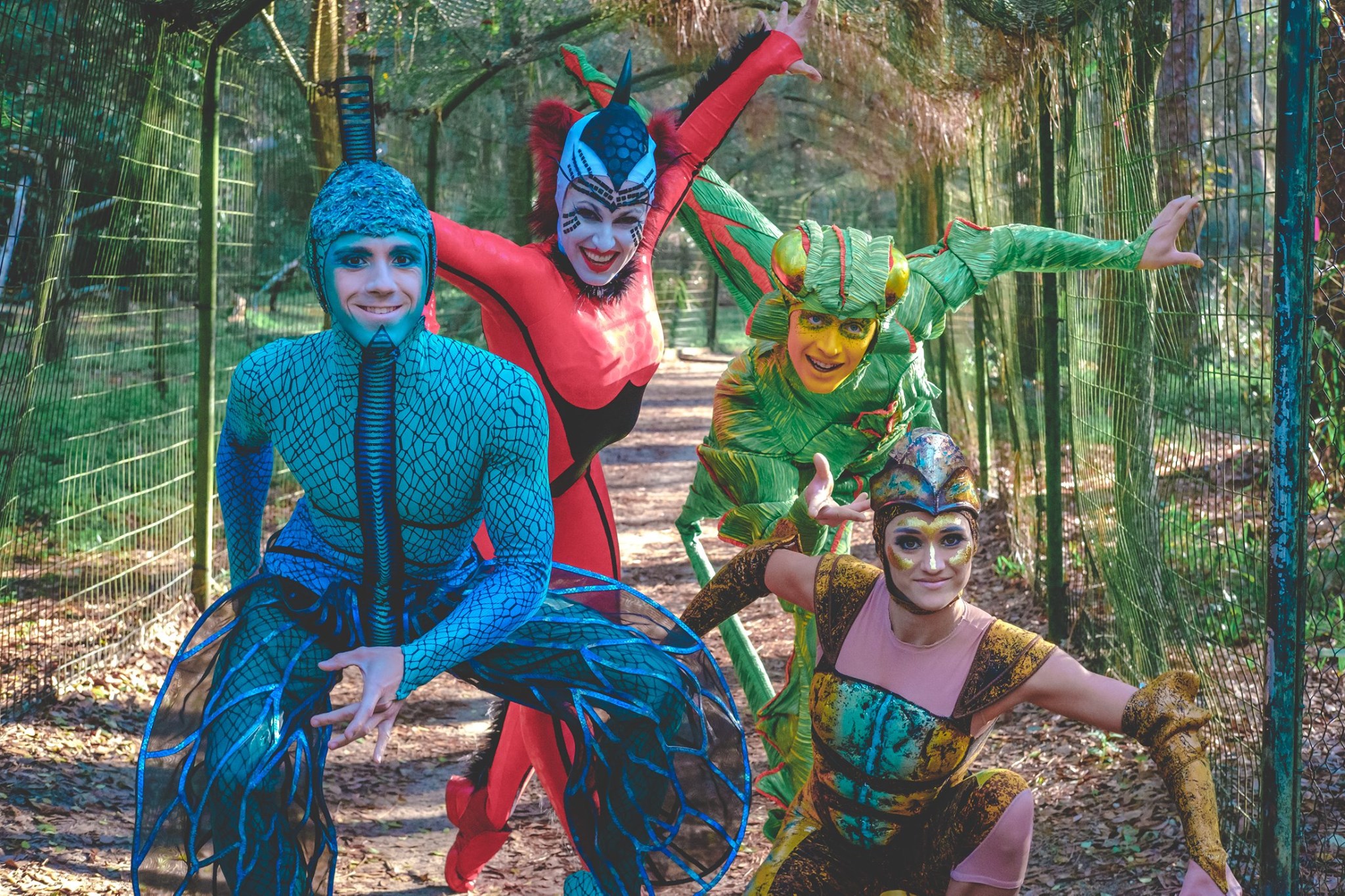 Image for Cirque du Soleil: OVO