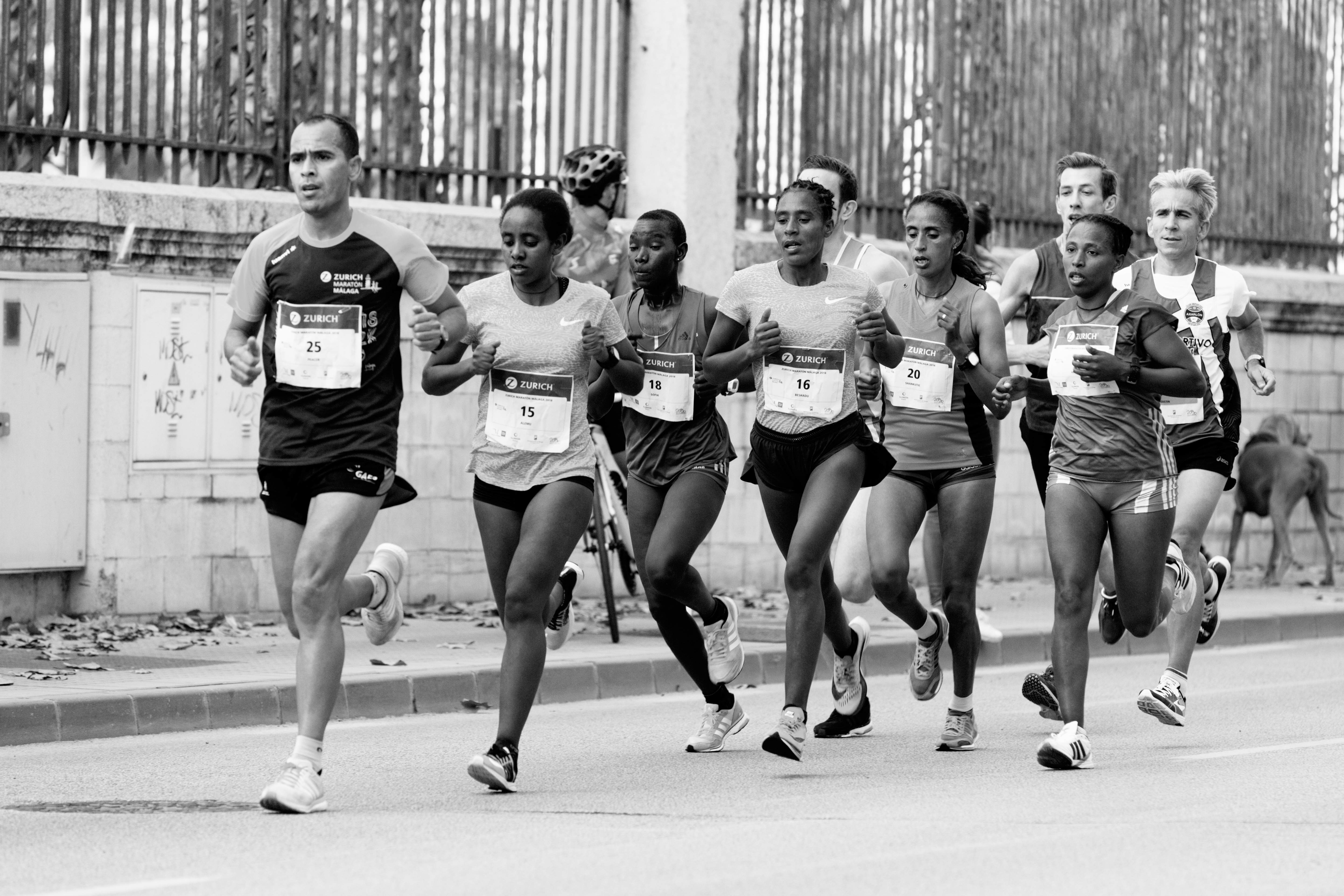 Image for Crux Portland 5K Beer Run (2025 OR Brewery Running Series)