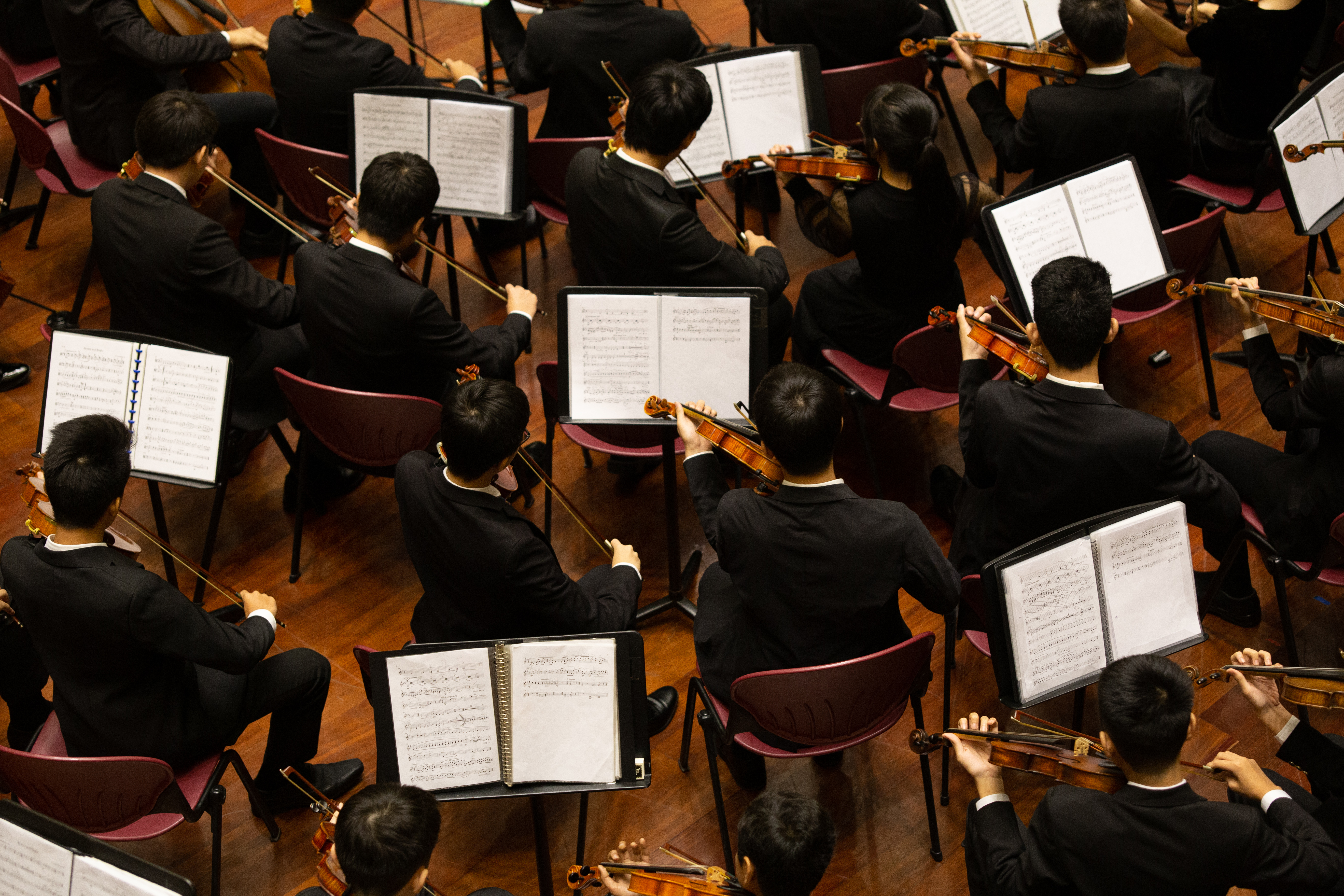 Image for The Voice of Whitney: A Symphonic Celebration with The Nashville Symphony