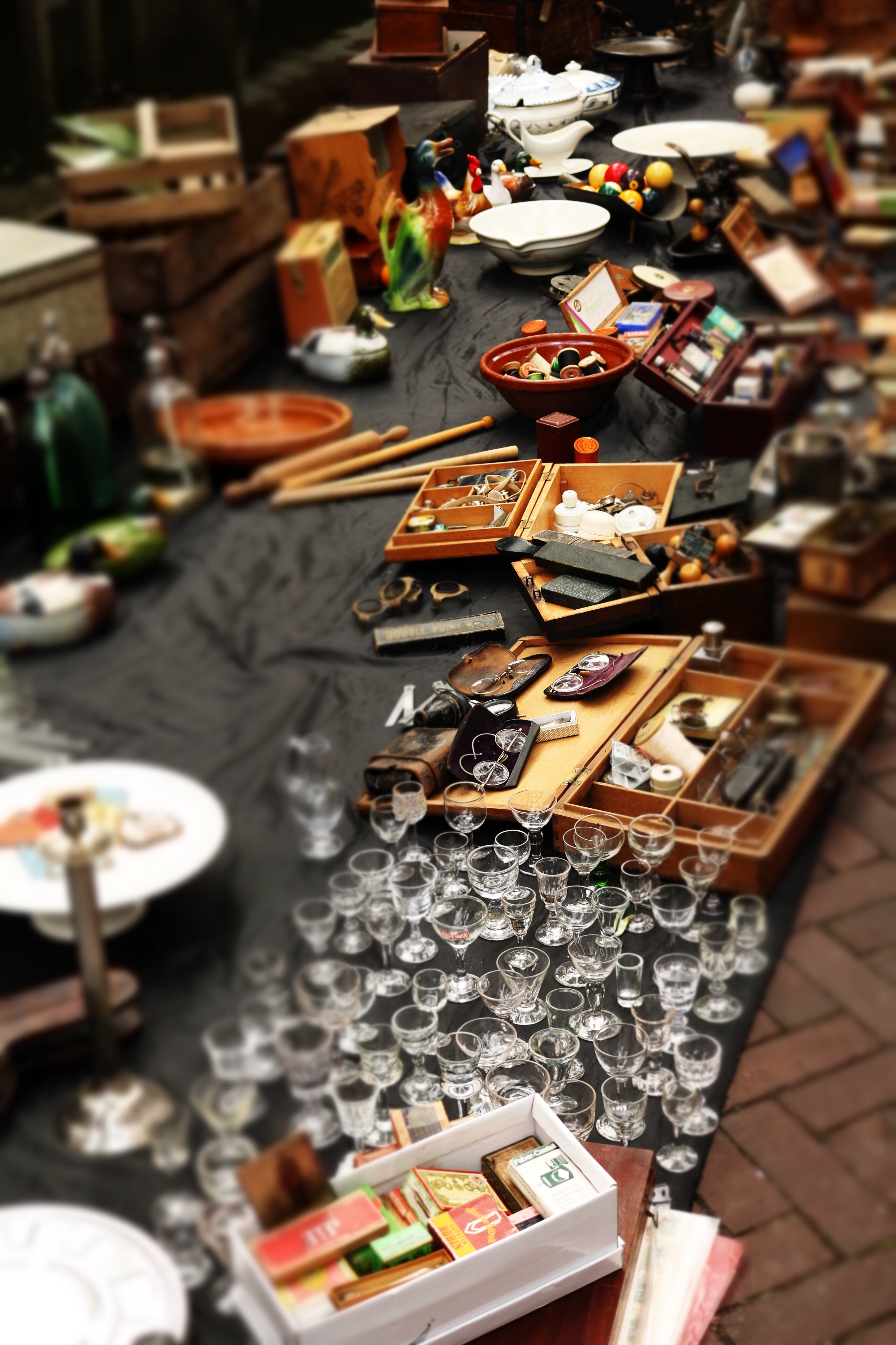 Image for The Giant Summer Flea