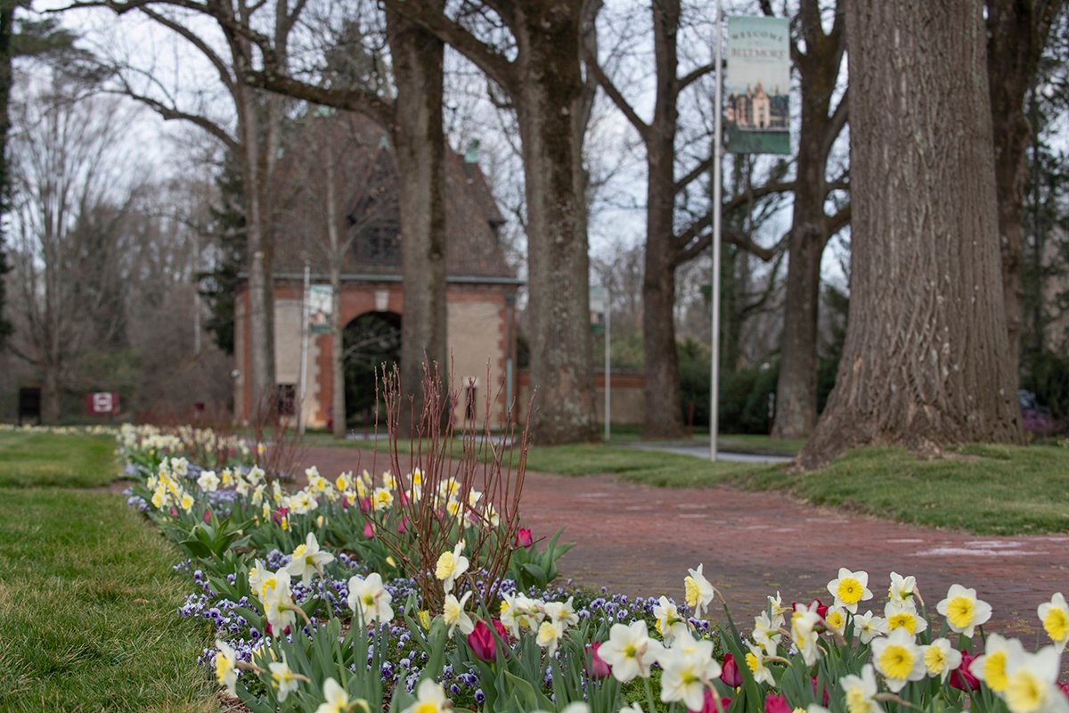 Image for Biltmore Festival of Flowers