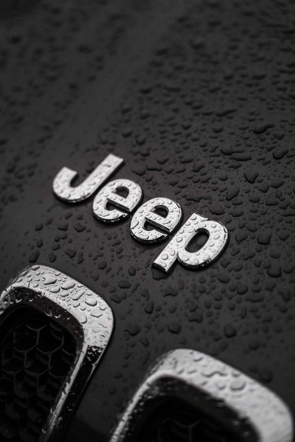 Image for Bayou Jeep Bash Day Two