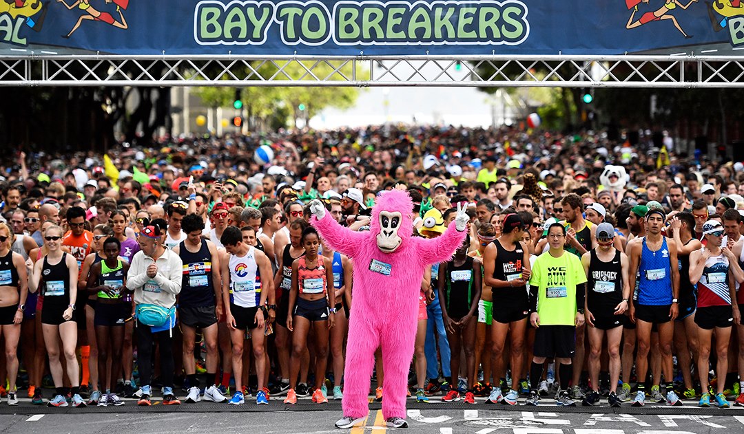 Image for San Francisco Bay to Breakers Footrace