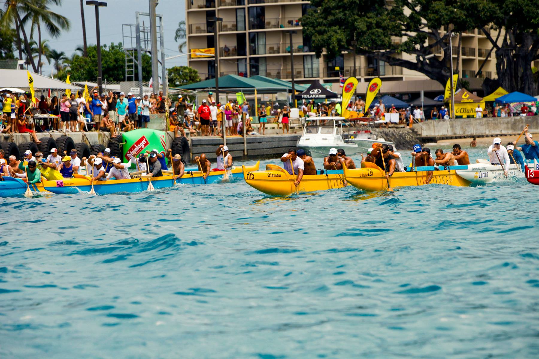 Image for Queen Lili'uokalani Outrigger Canoe Race