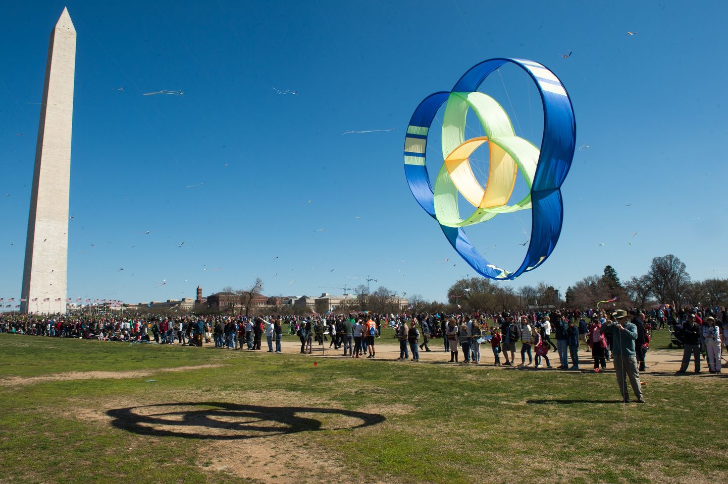 Image for Blossom Kite Festival
