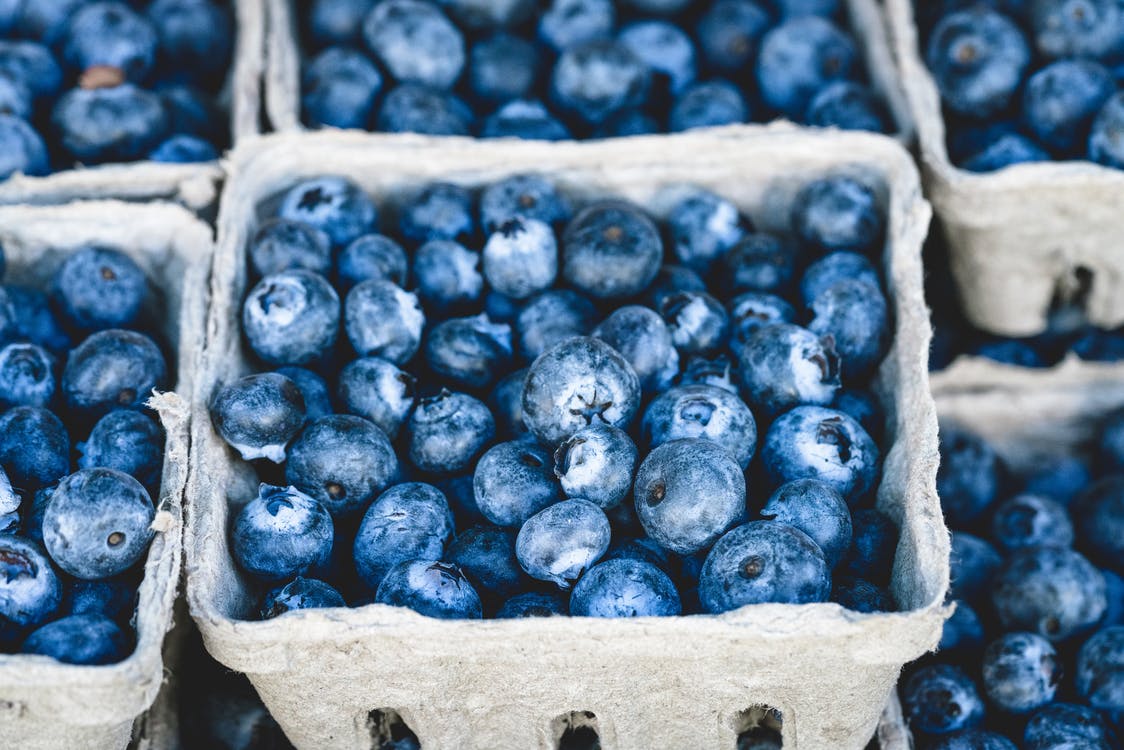 Image for Whitesbog Blueberry Summer Fest: Dog Days of Summer