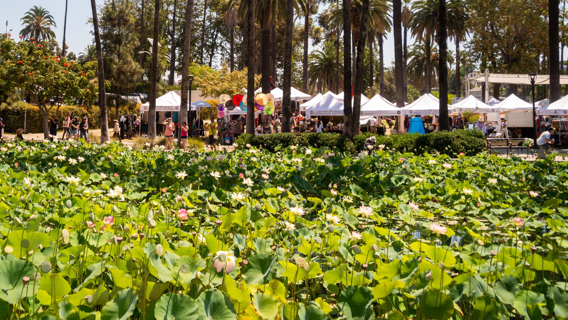 Image for Lotus Festival Echo Park