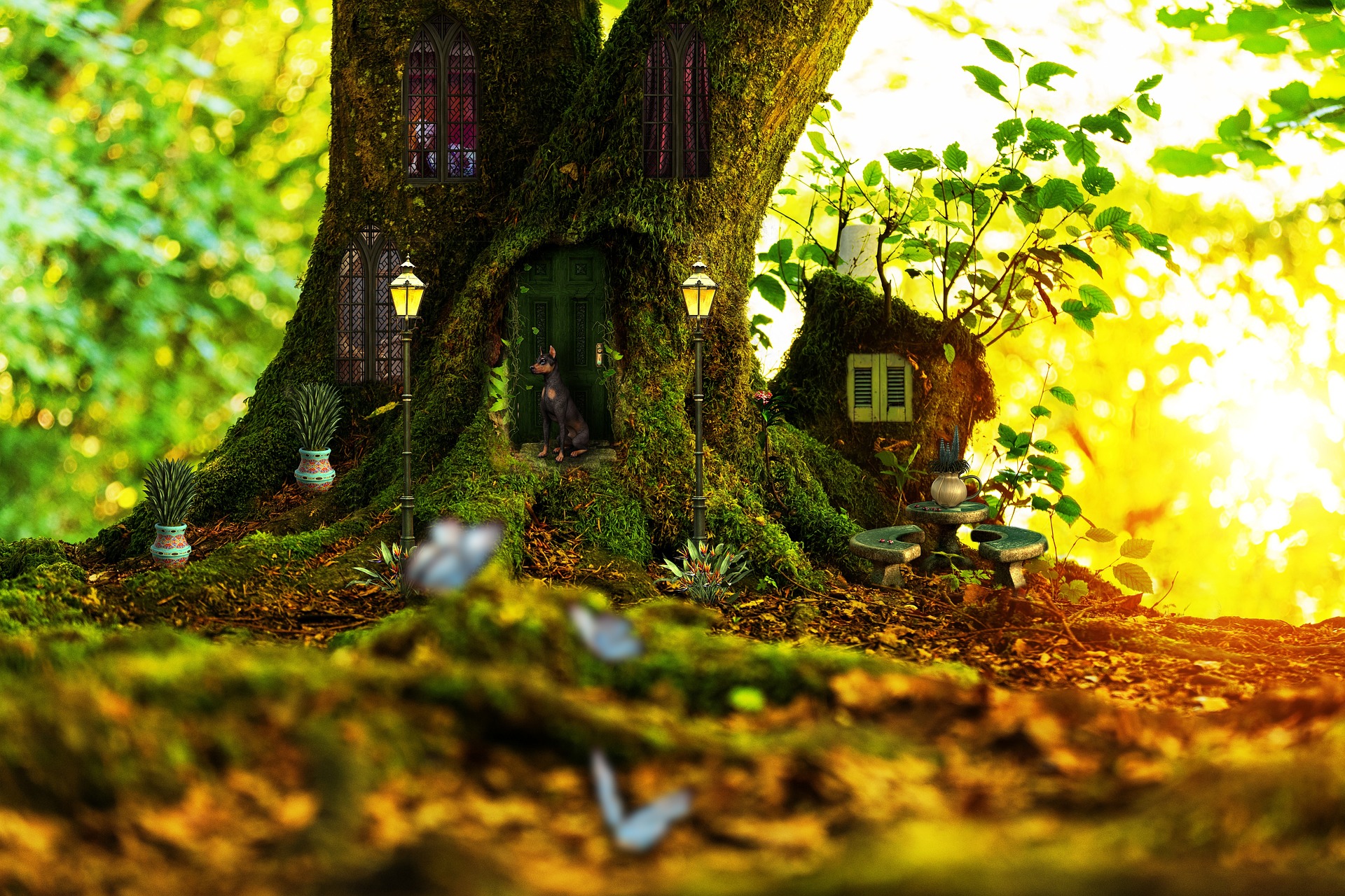 Image for Peter Pan: The Dublin Ballet Company