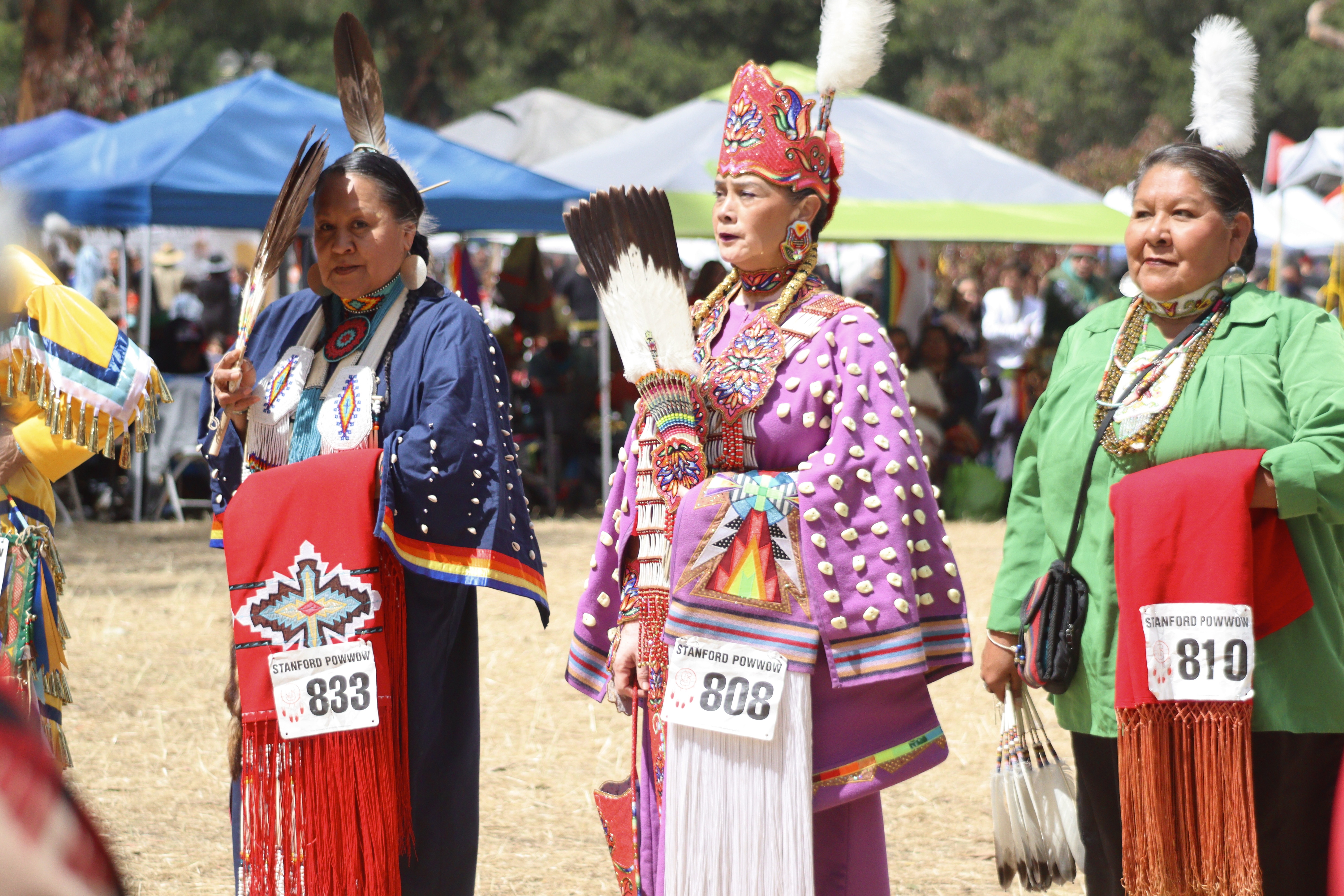 Image for Stanford Powwow
