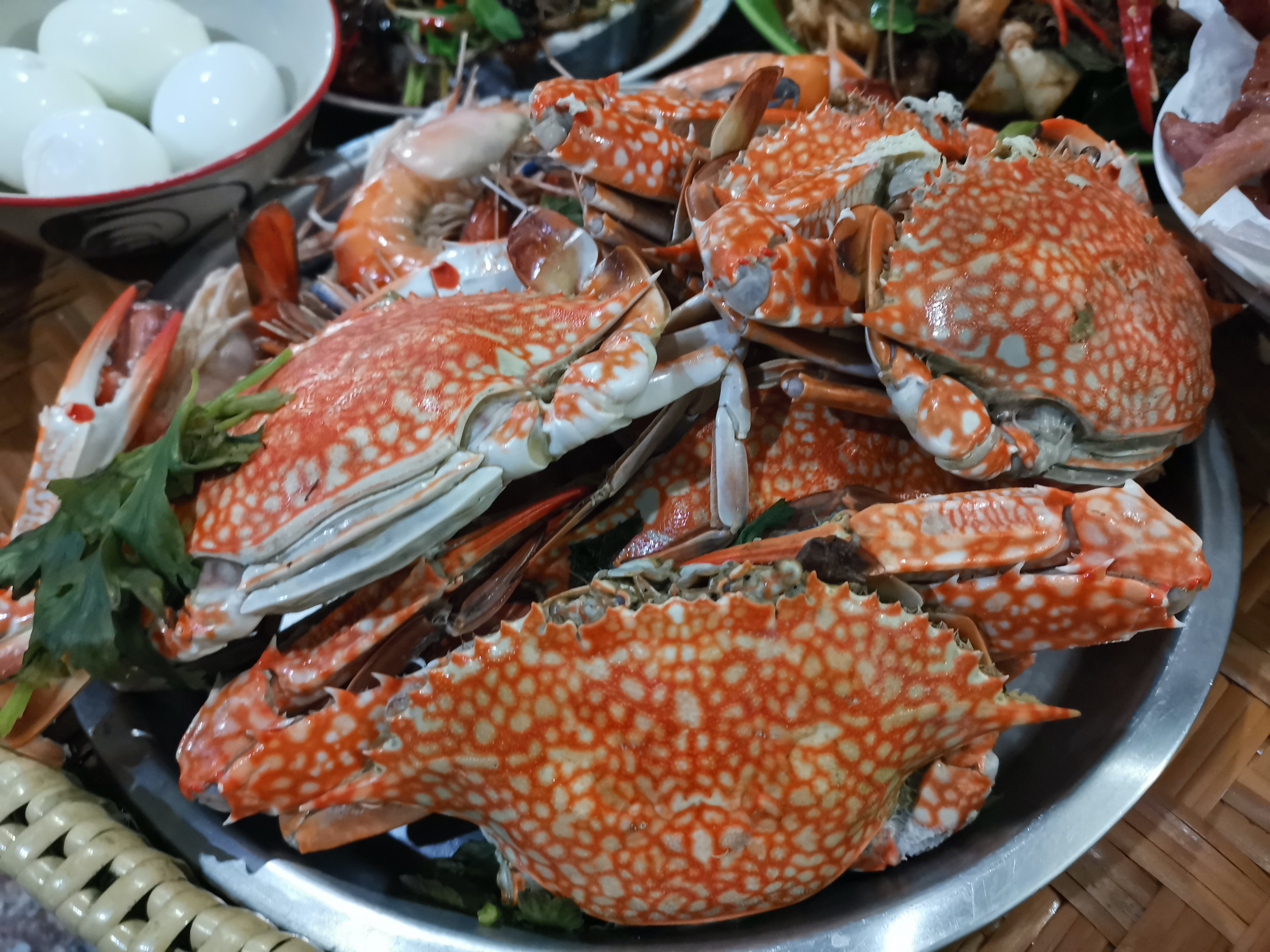 Image for BARCS Crab Feast