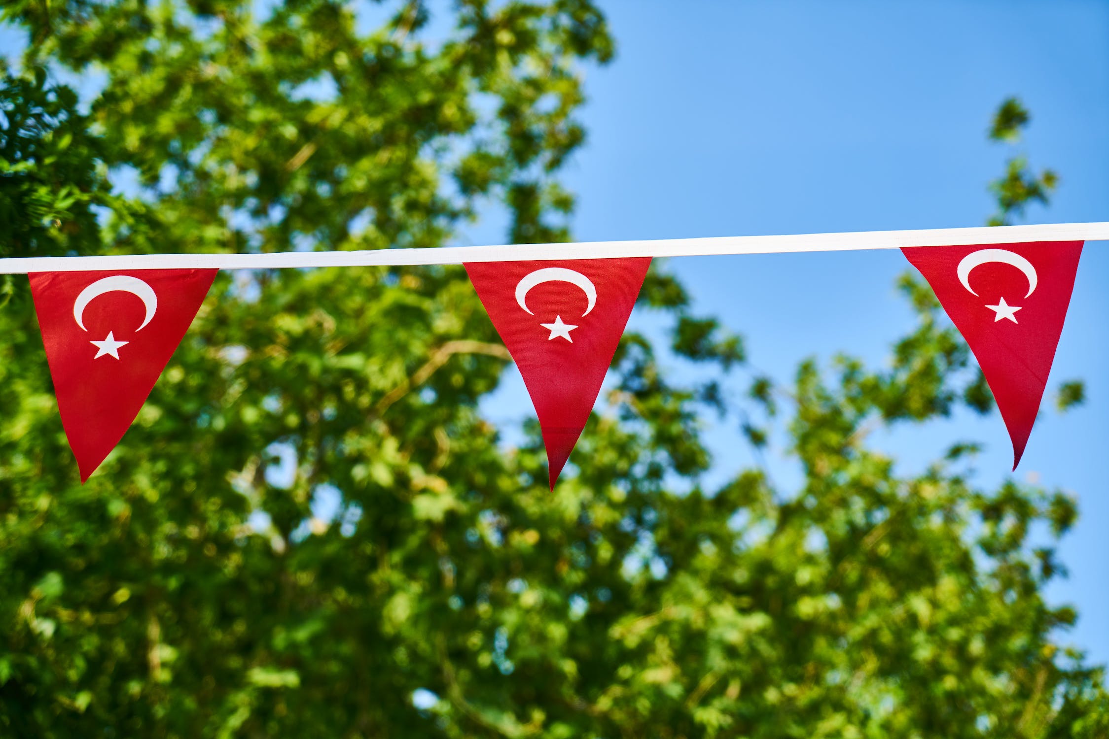Image for Turkish Festival