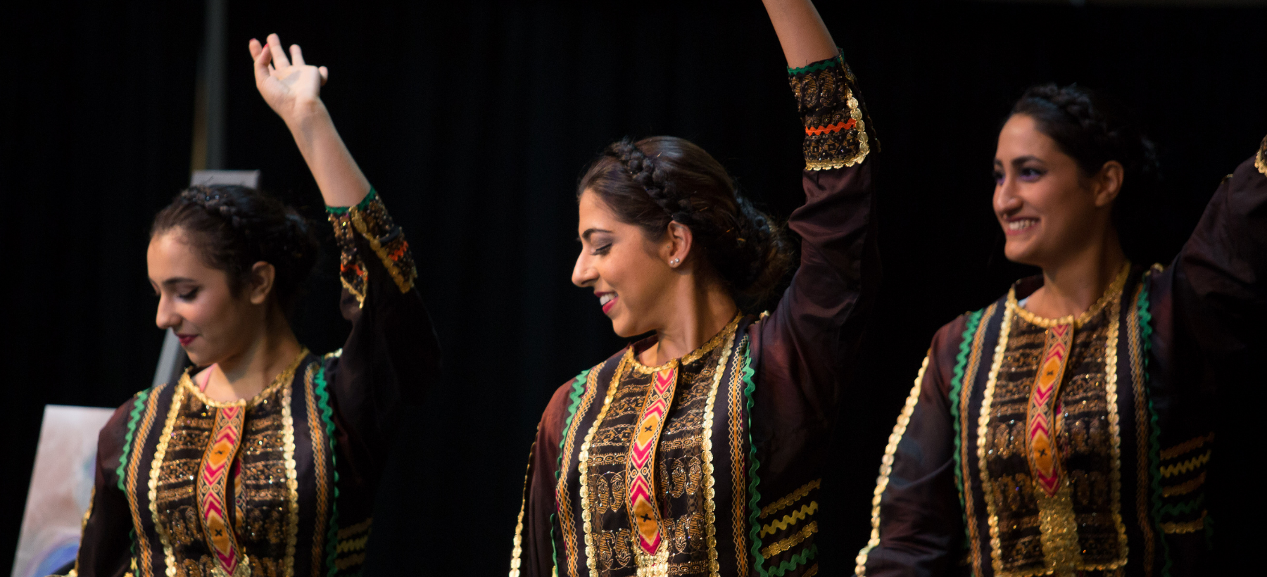Image for Seattle Iranian Festival