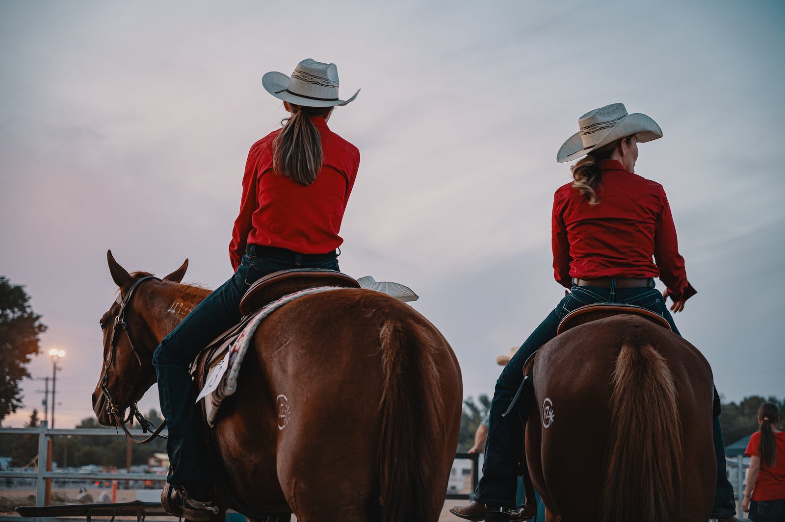 Image for Brick Rodeo